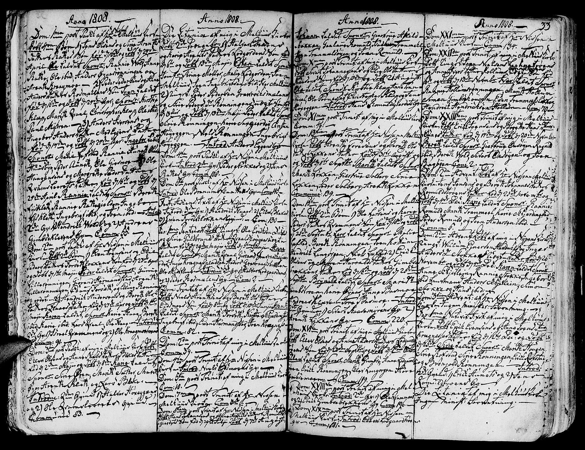 Ministerialprotokoller, klokkerbøker og fødselsregistre - Sør-Trøndelag, SAT/A-1456/691/L1061: Parish register (official) no. 691A02 /1, 1768-1815, p. 33