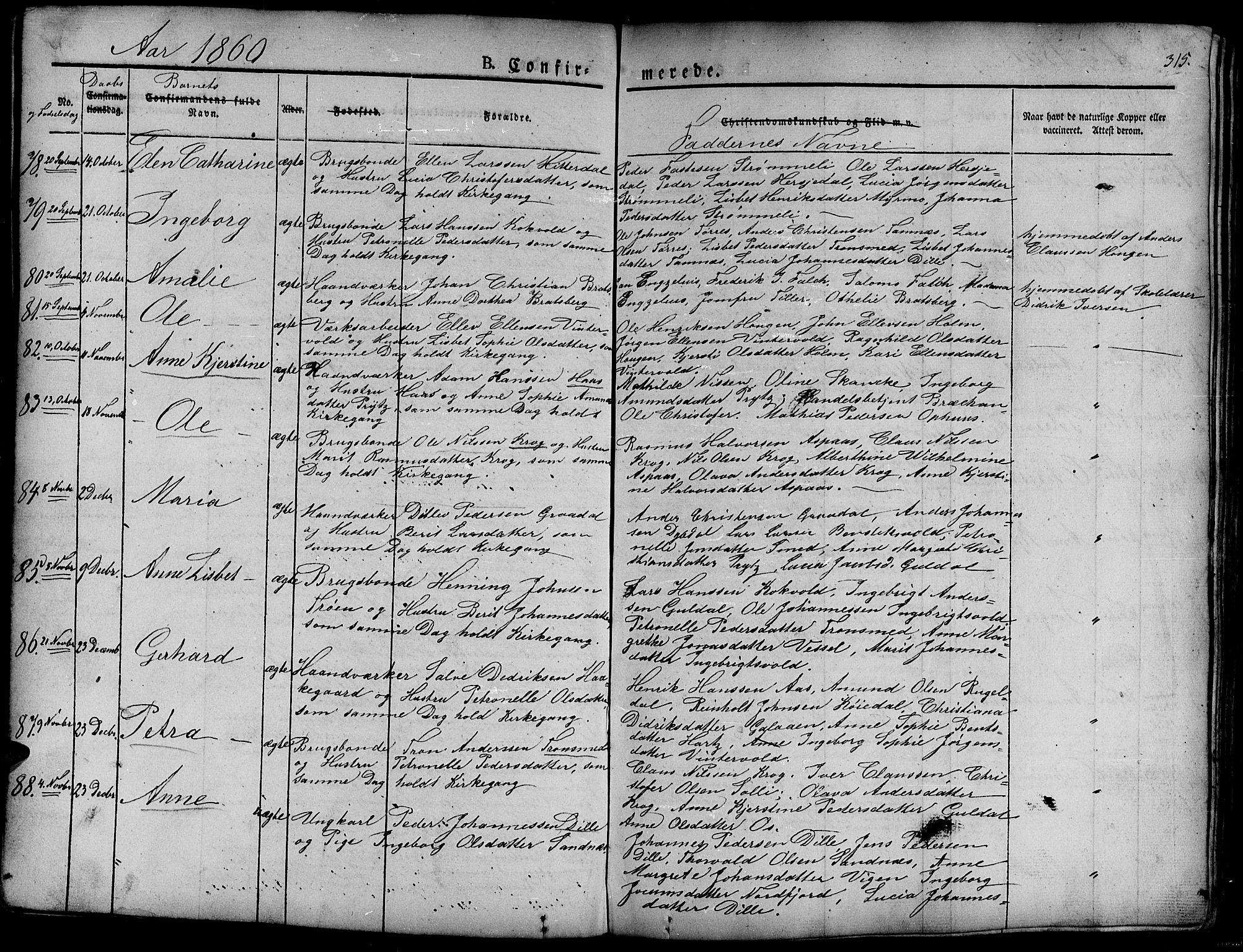 Ministerialprotokoller, klokkerbøker og fødselsregistre - Sør-Trøndelag, SAT/A-1456/681/L0938: Parish register (copy) no. 681C02, 1829-1879, p. 315