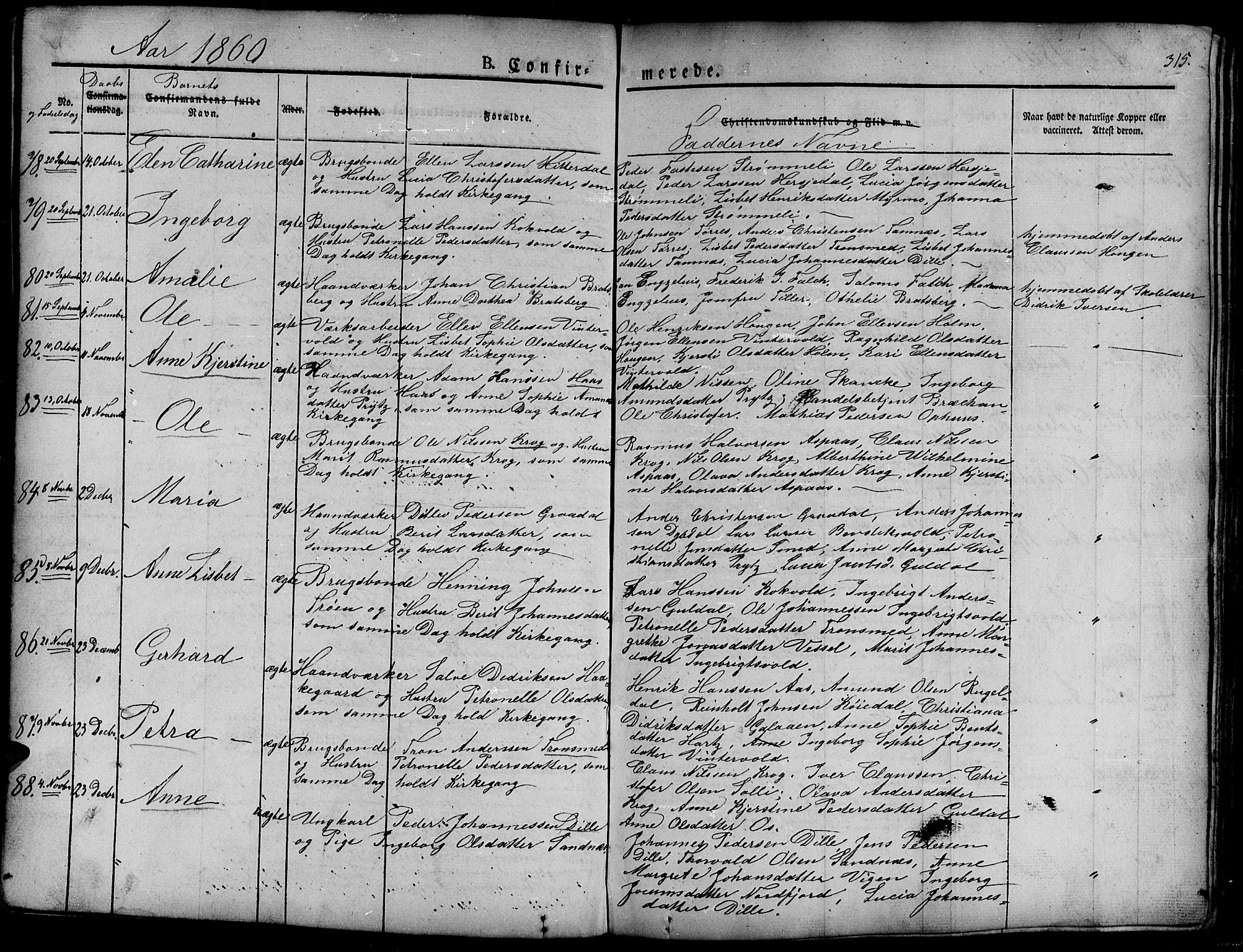 Ministerialprotokoller, klokkerbøker og fødselsregistre - Sør-Trøndelag, AV/SAT-A-1456/681/L0938: Parish register (copy) no. 681C02, 1829-1879, p. 315