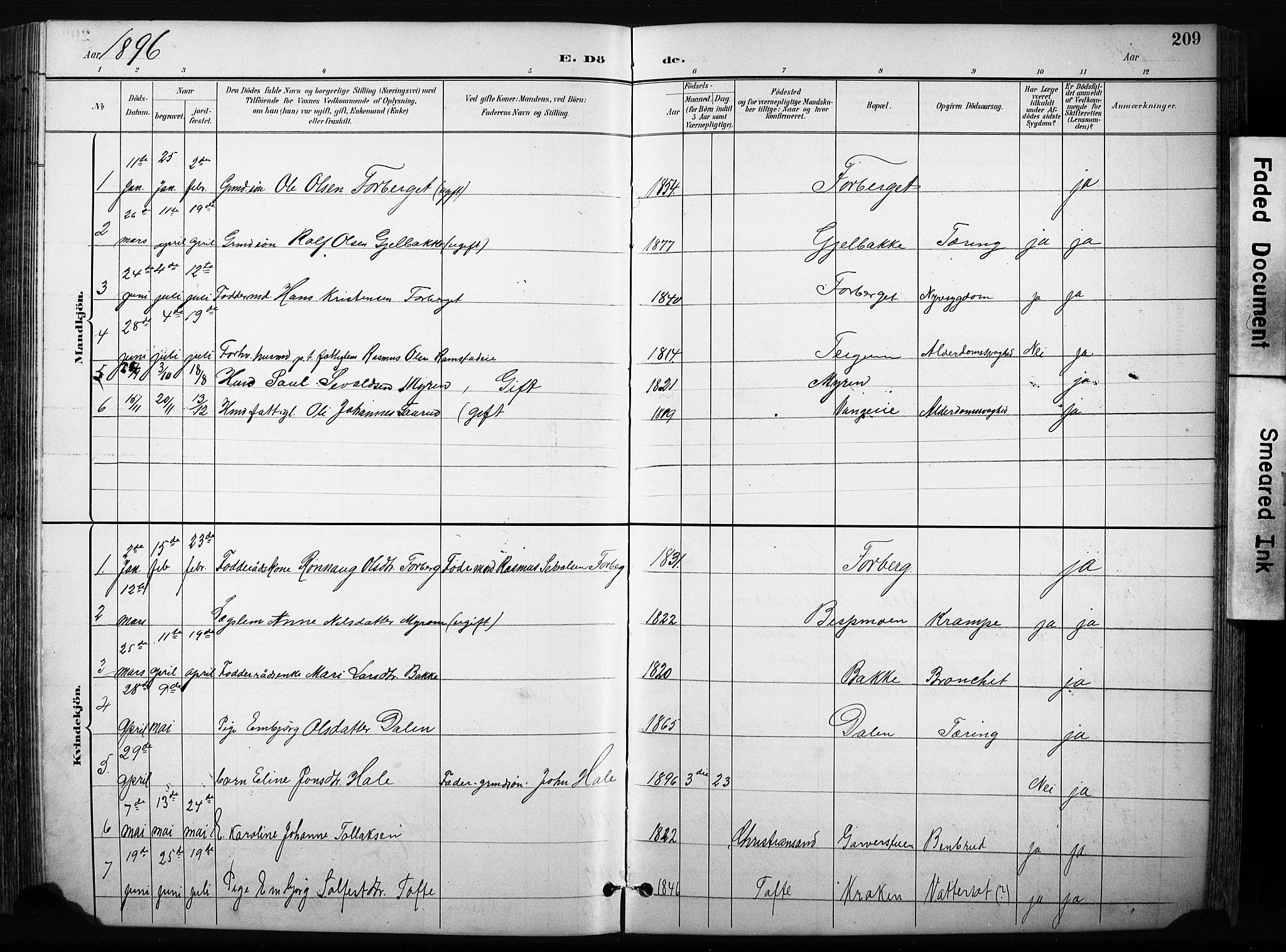 Skjåk prestekontor, SAH/PREST-072/H/Ha/Hab/L0003: Parish register (copy) no. 3, 1893-1932, p. 209
