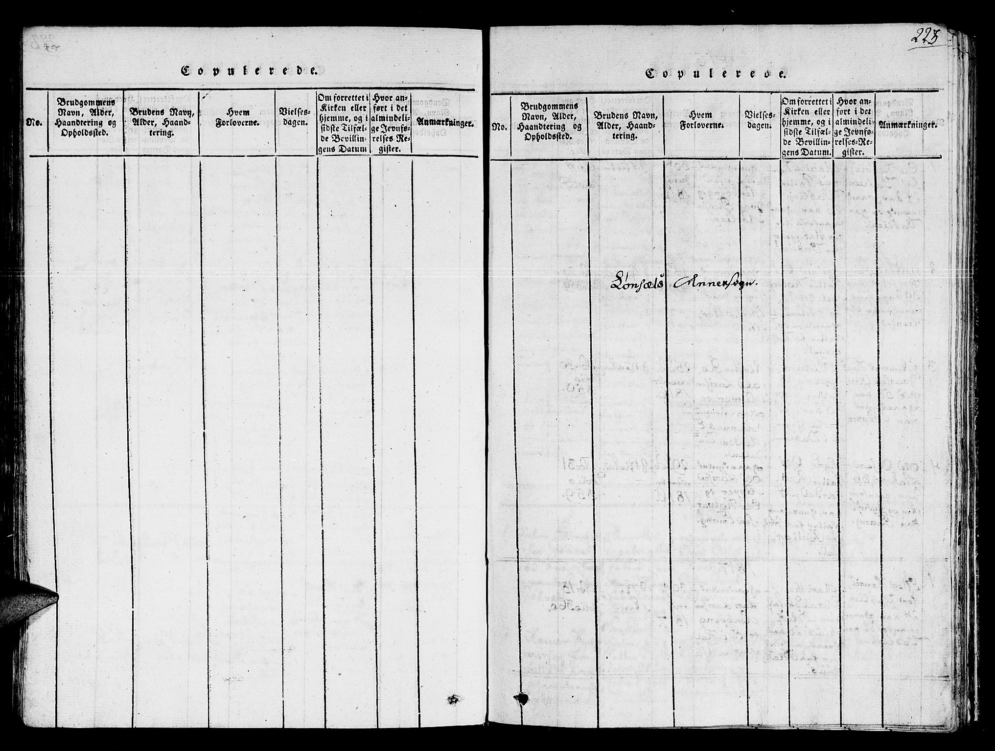 Ministerialprotokoller, klokkerbøker og fødselsregistre - Sør-Trøndelag, SAT/A-1456/678/L0896: Parish register (official) no. 678A05 /2, 1816-1821, p. 223