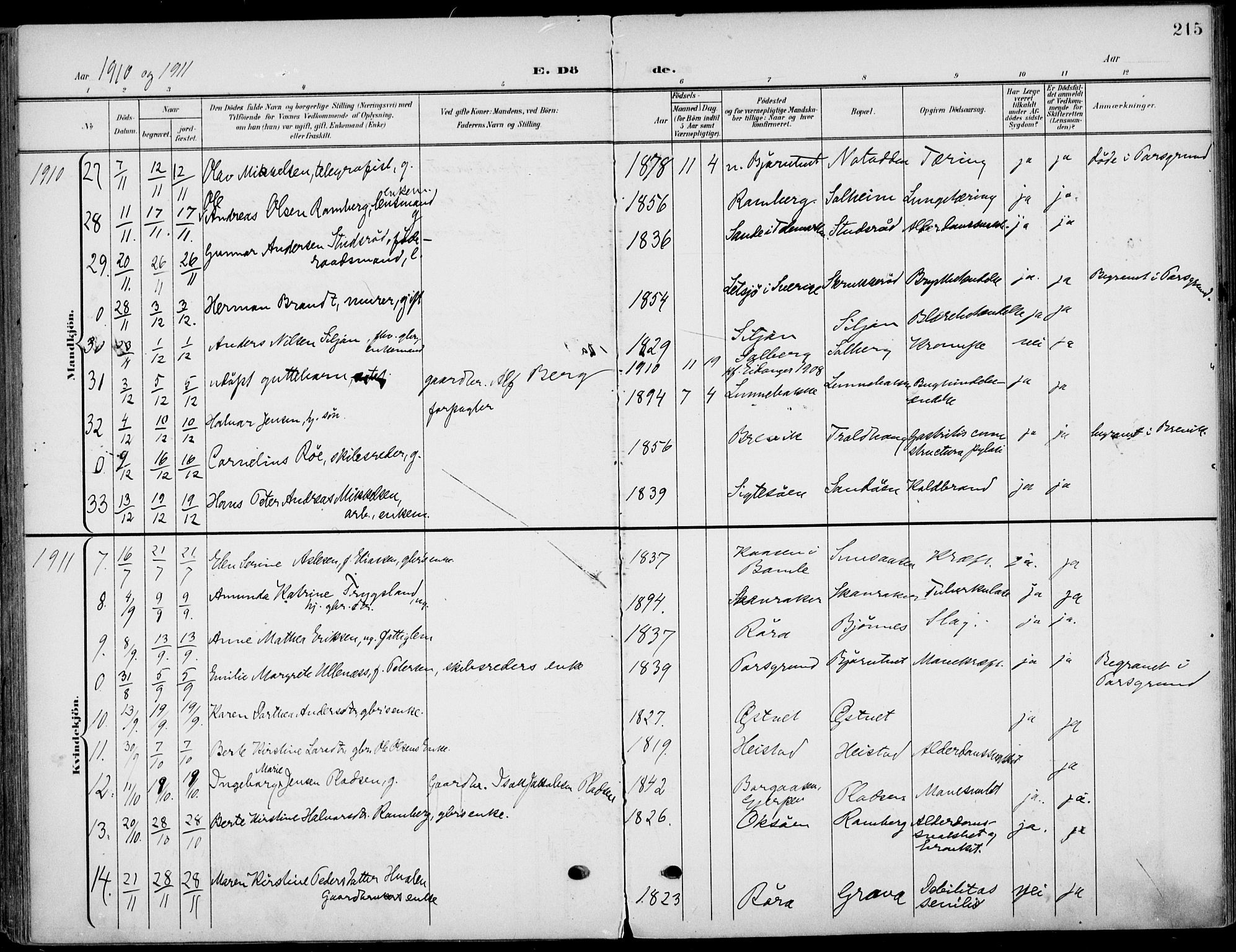 Eidanger kirkebøker, SAKO/A-261/F/Fa/L0013: Parish register (official) no. 13, 1900-1913, p. 215