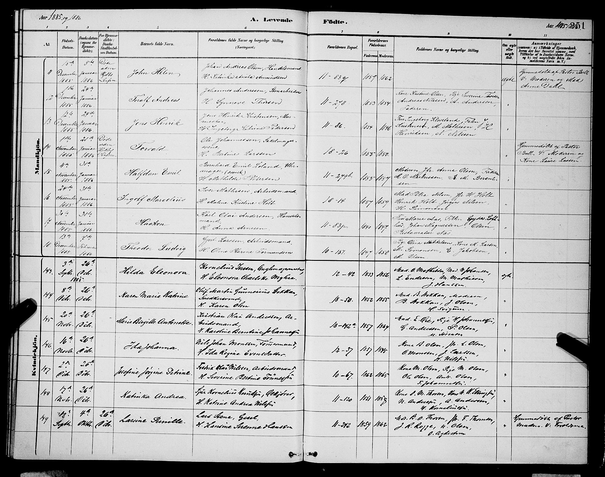 Domkirken sokneprestembete, SAB/A-74801/H/Hab/L0015: Parish register (copy) no. B 8, 1879-1887, p. 251