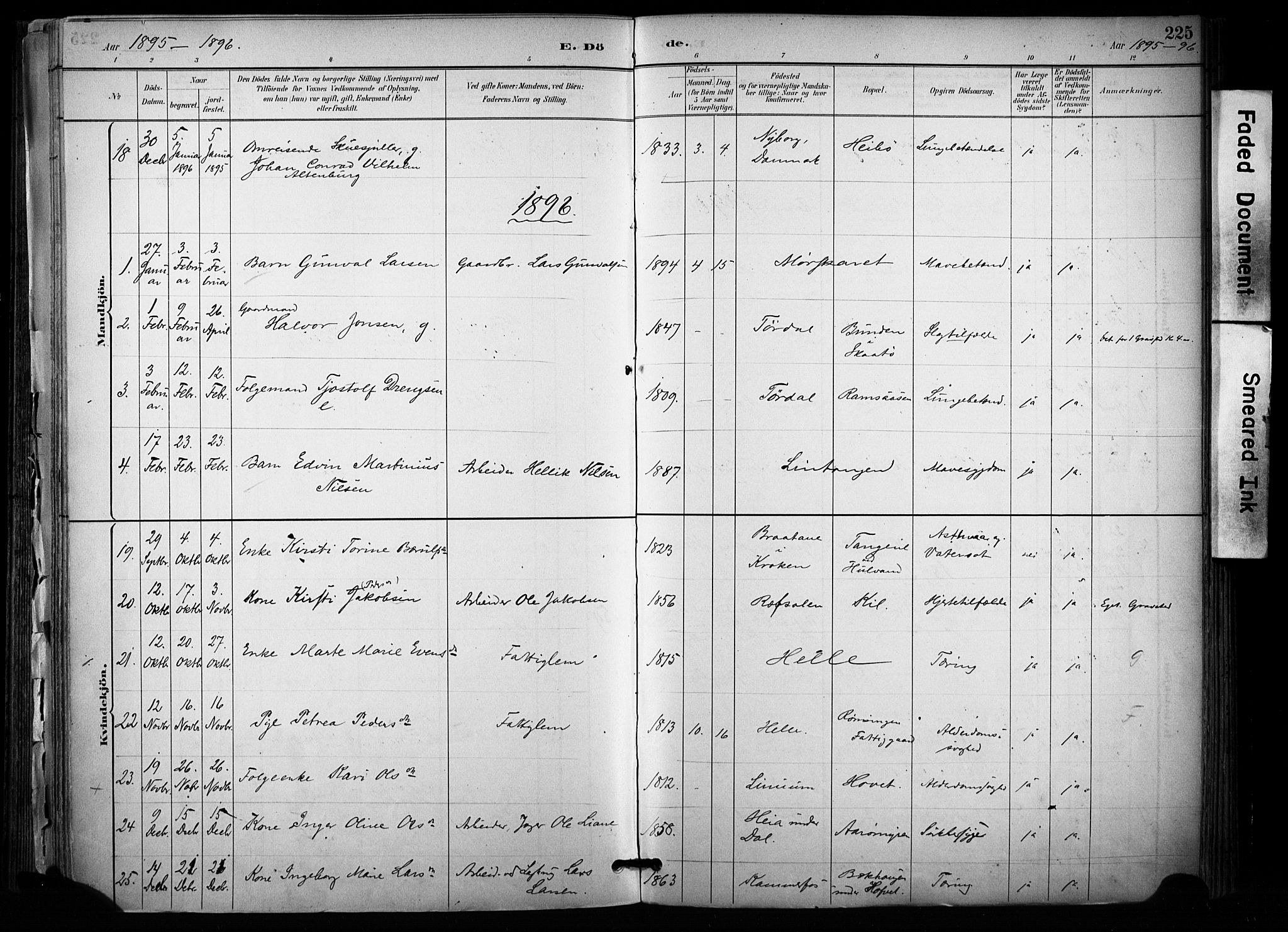 Sannidal kirkebøker, AV/SAKO-A-296/F/Fa/L0015: Parish register (official) no. 15, 1884-1899, p. 225