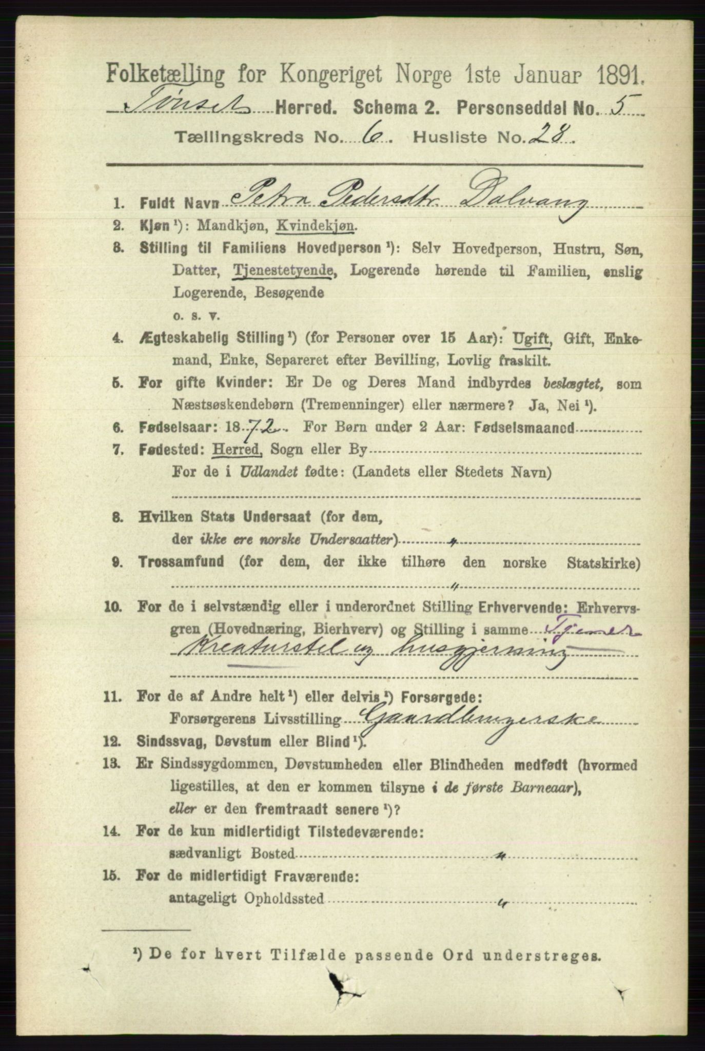 RA, 1891 census for 0437 Tynset, 1891, p. 1664