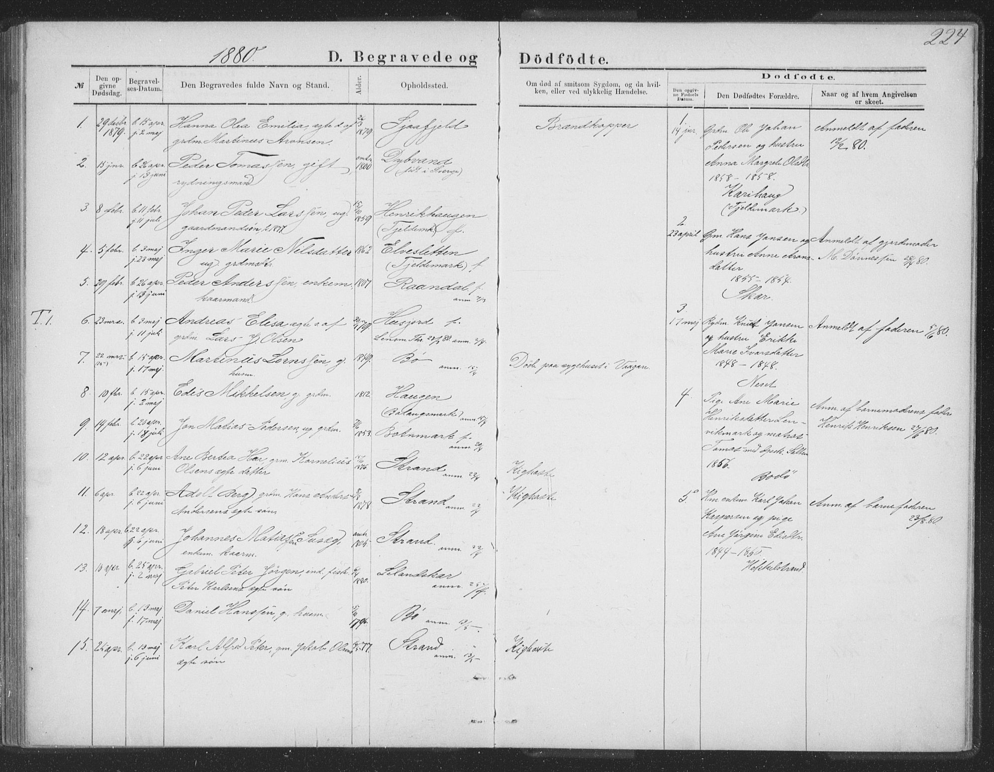 Ministerialprotokoller, klokkerbøker og fødselsregistre - Nordland, AV/SAT-A-1459/863/L0913: Parish register (copy) no. 863C03, 1877-1885, p. 224