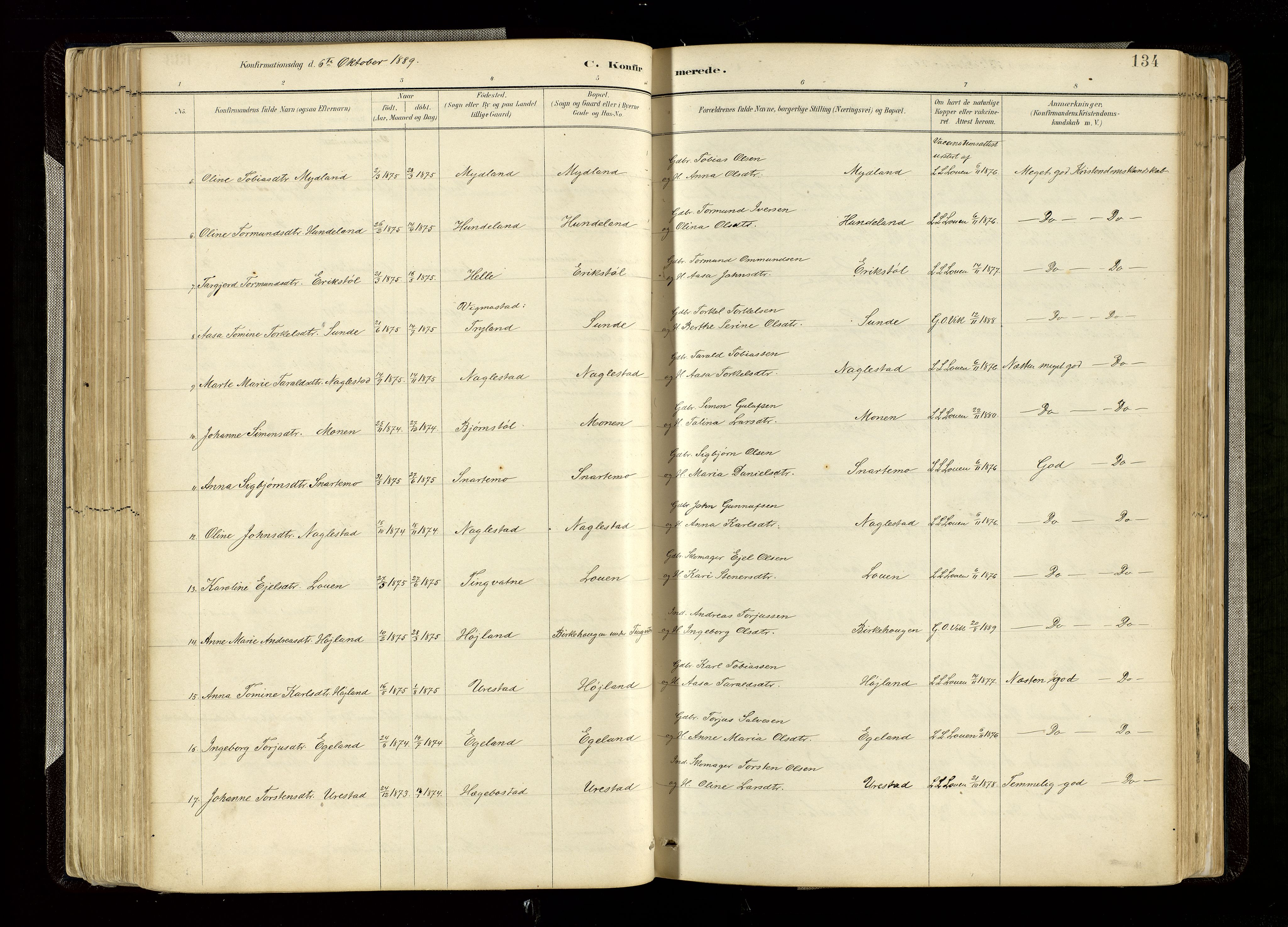 Hægebostad sokneprestkontor, AV/SAK-1111-0024/F/Fa/Faa/L0006: Parish register (official) no. A 6, 1887-1929, p. 134