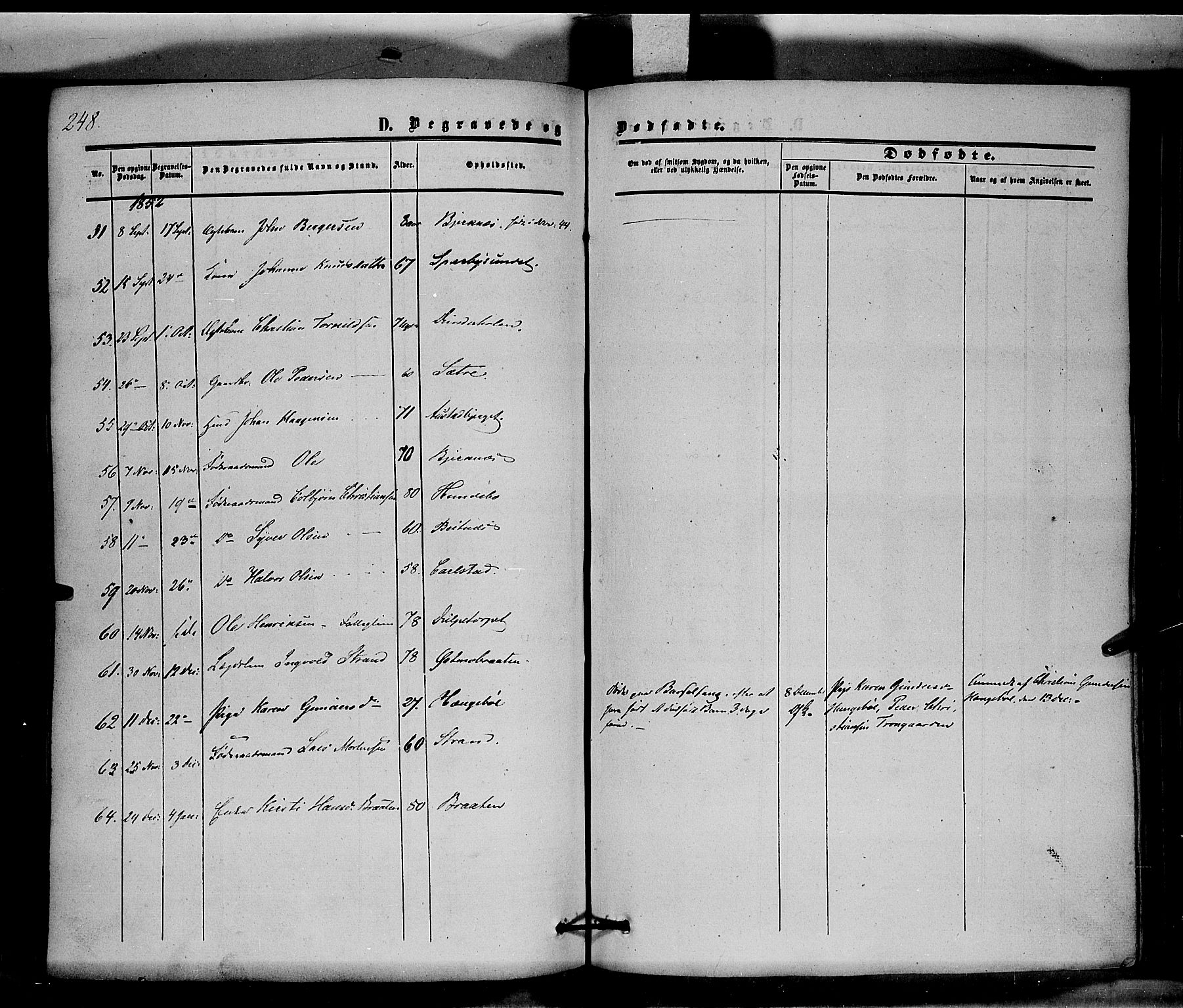 Hof prestekontor, SAH/PREST-038/H/Ha/Haa/L0008: Parish register (official) no. 8, 1849-1861, p. 248