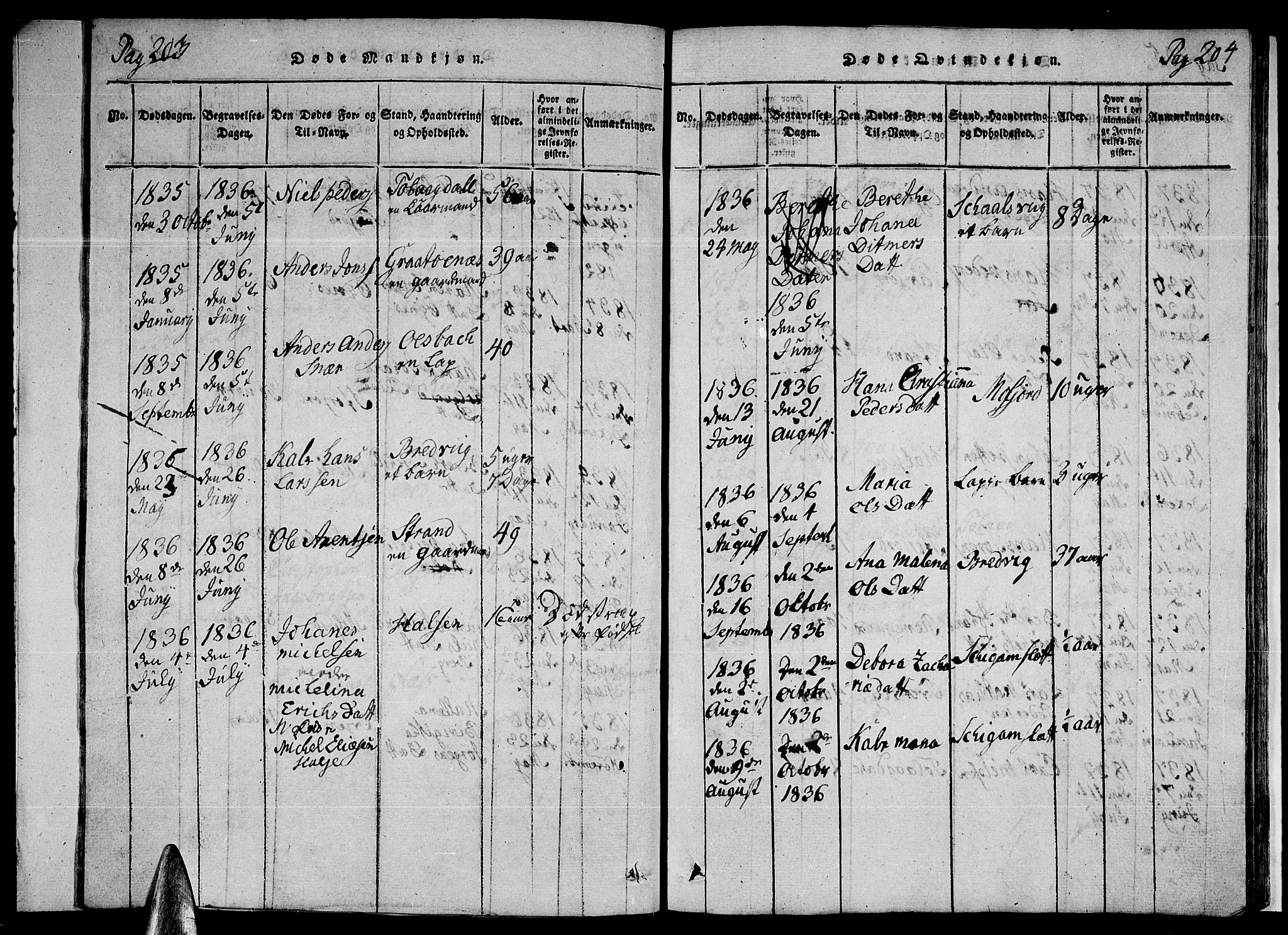 Ministerialprotokoller, klokkerbøker og fødselsregistre - Nordland, SAT/A-1459/846/L0651: Parish register (copy) no. 846C01, 1821-1841, p. 203-204