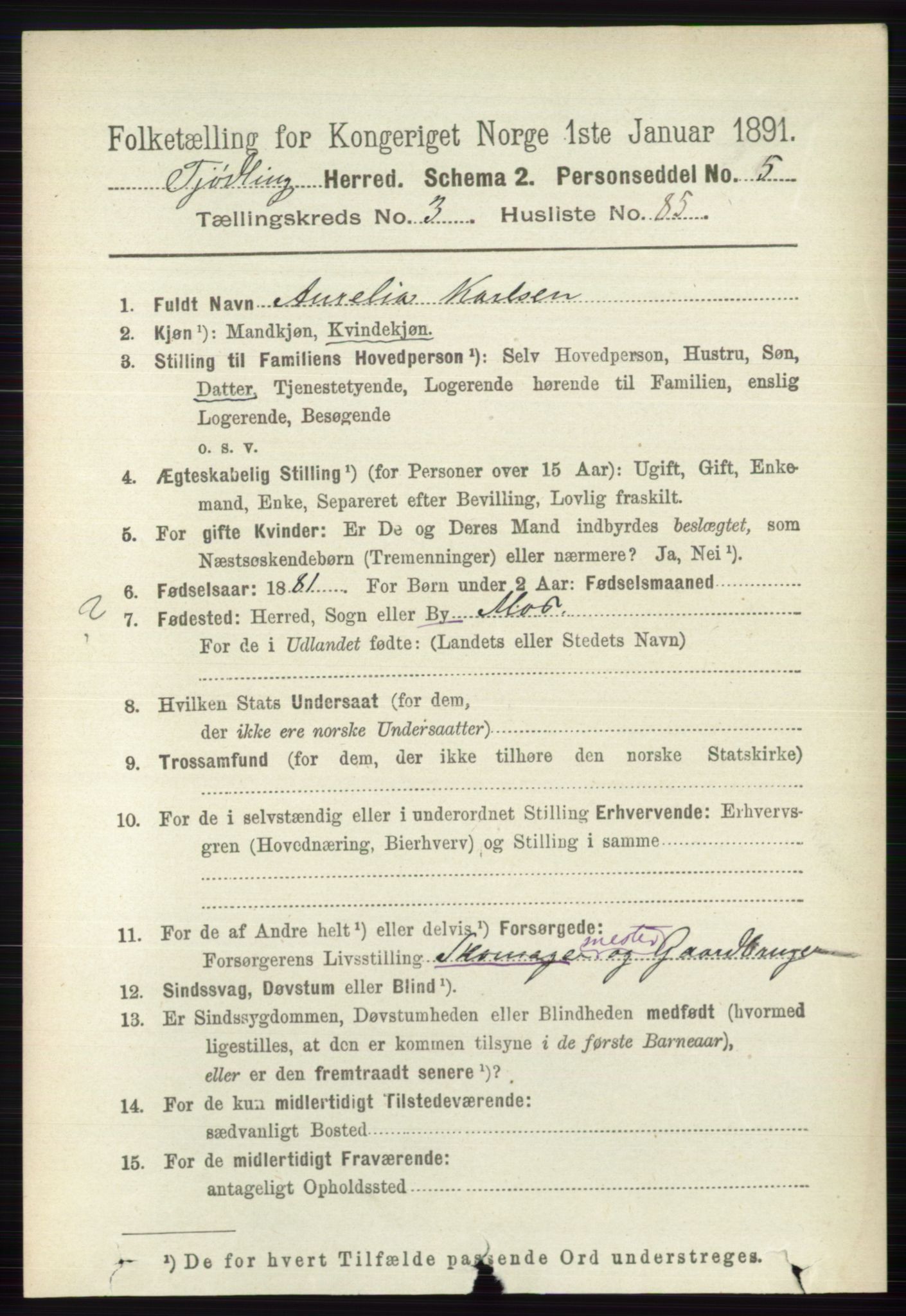 RA, 1891 census for 0725 Tjølling, 1891, p. 1365