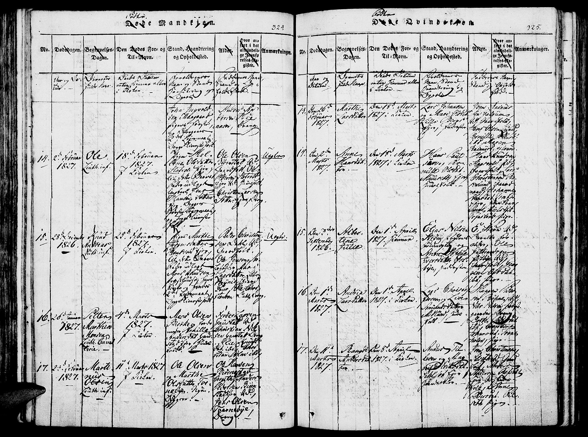 Romedal prestekontor, AV/SAH-PREST-004/K/L0002: Parish register (official) no. 2, 1814-1828, p. 324-325