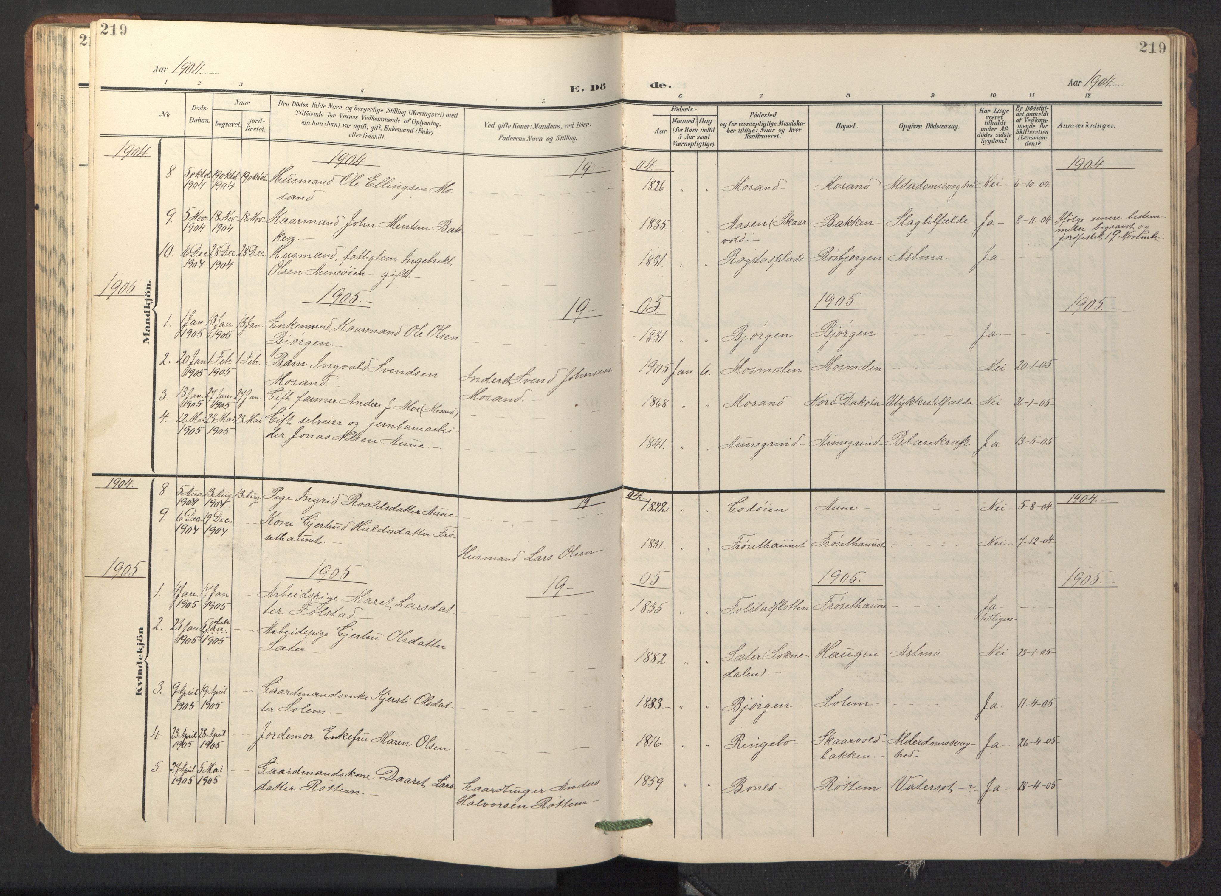 Ministerialprotokoller, klokkerbøker og fødselsregistre - Sør-Trøndelag, SAT/A-1456/687/L1019: Parish register (copy) no. 687C03, 1904-1931, p. 219