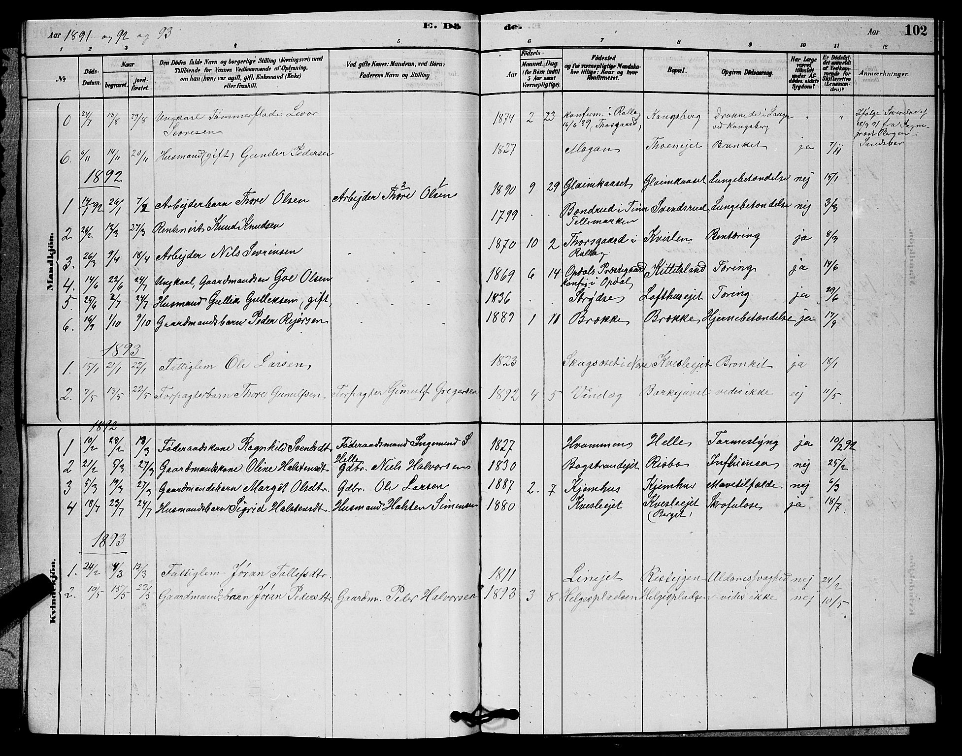 Rollag kirkebøker, SAKO/A-240/G/Gb/L0002: Parish register (copy) no. II 2, 1878-1898, p. 102