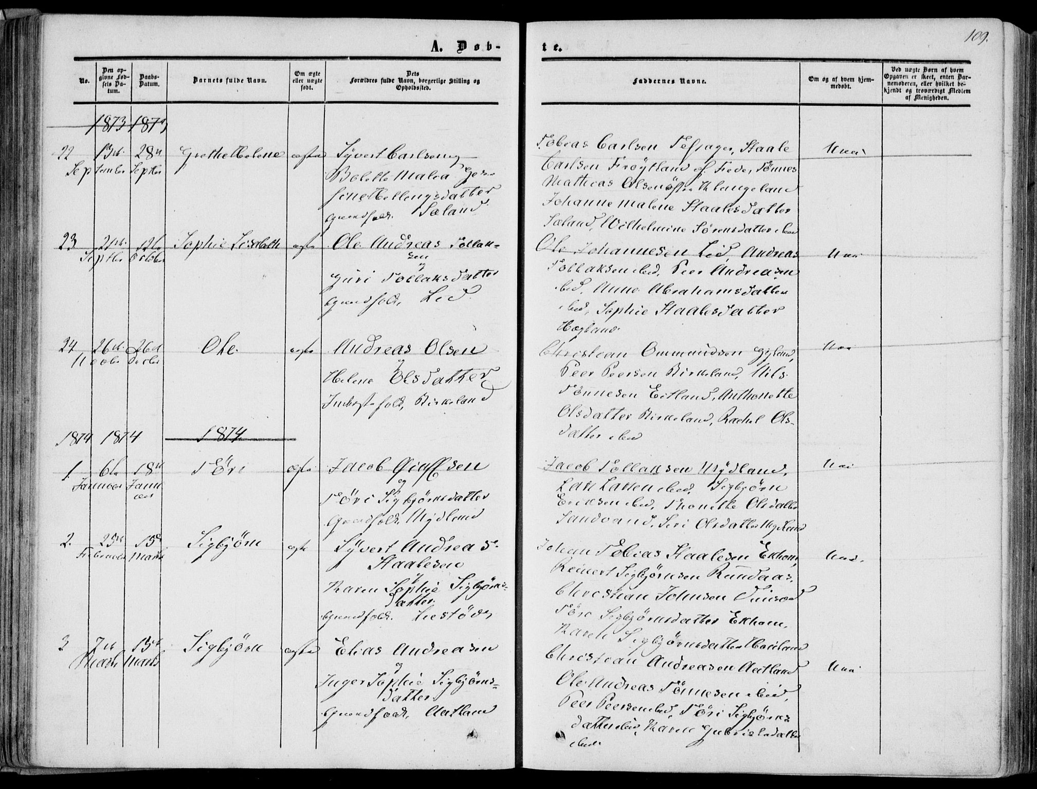 Bakke sokneprestkontor, SAK/1111-0002/F/Fa/Fab/L0002: Parish register (official) no. A 2, 1855-1884, p. 109