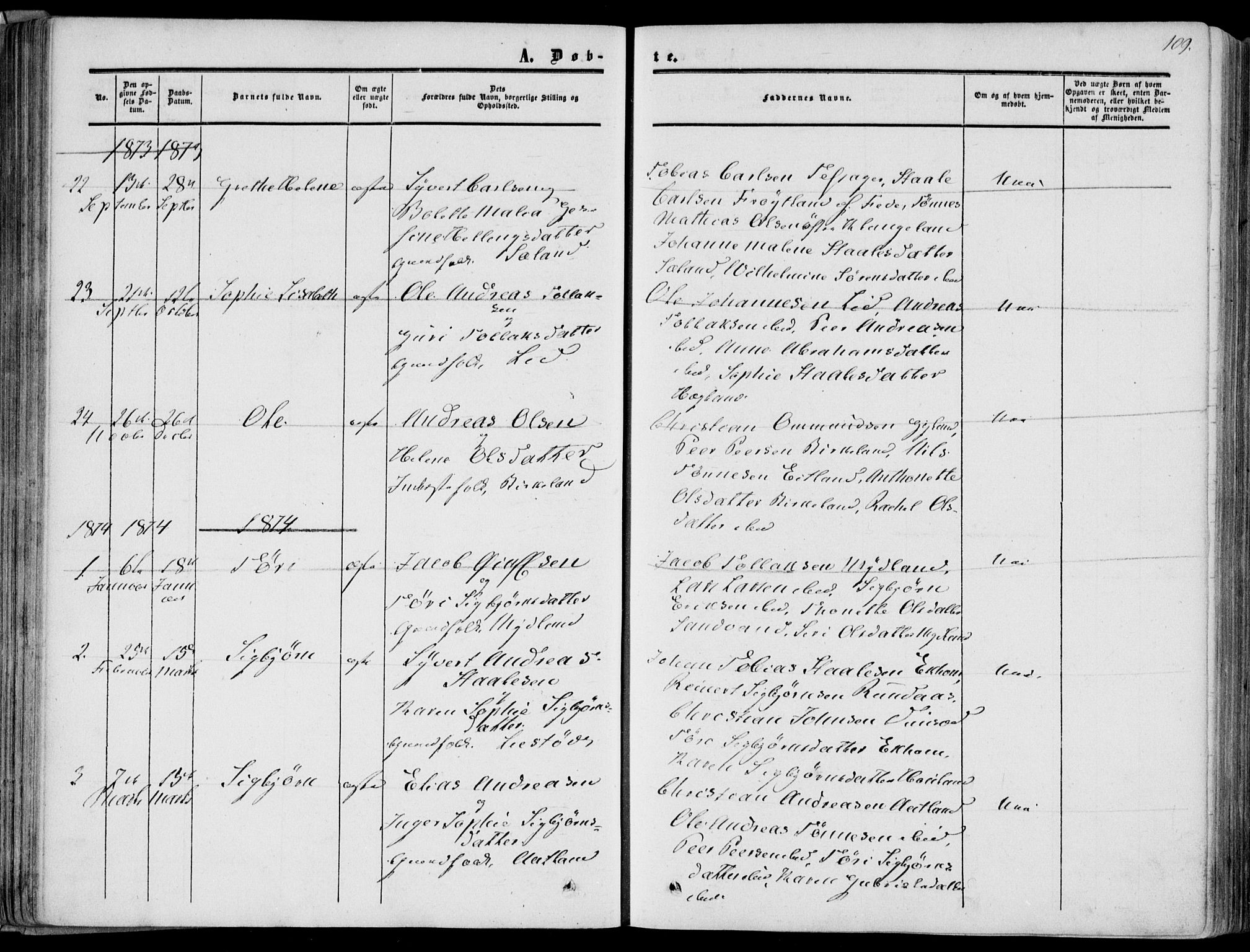 Bakke sokneprestkontor, AV/SAK-1111-0002/F/Fa/Fab/L0002: Parish register (official) no. A 2, 1855-1884, p. 109