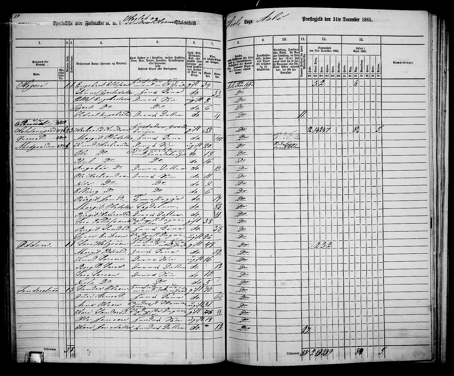 RA, 1865 census for Ål, 1865, p. 202