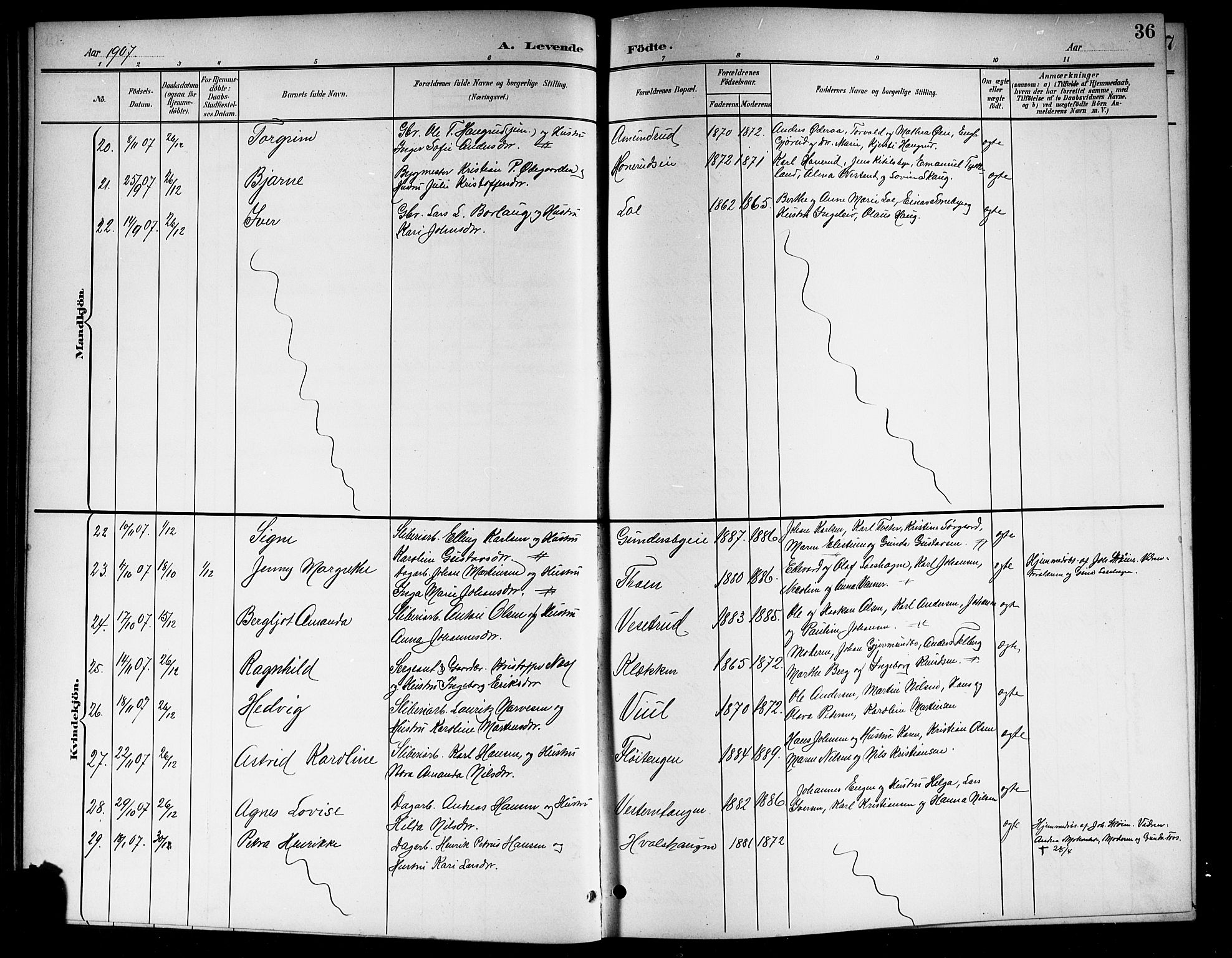 Norderhov kirkebøker, AV/SAKO-A-237/G/Gb/L0002: Parish register (copy) no. II 2, 1891-1921, p. 36