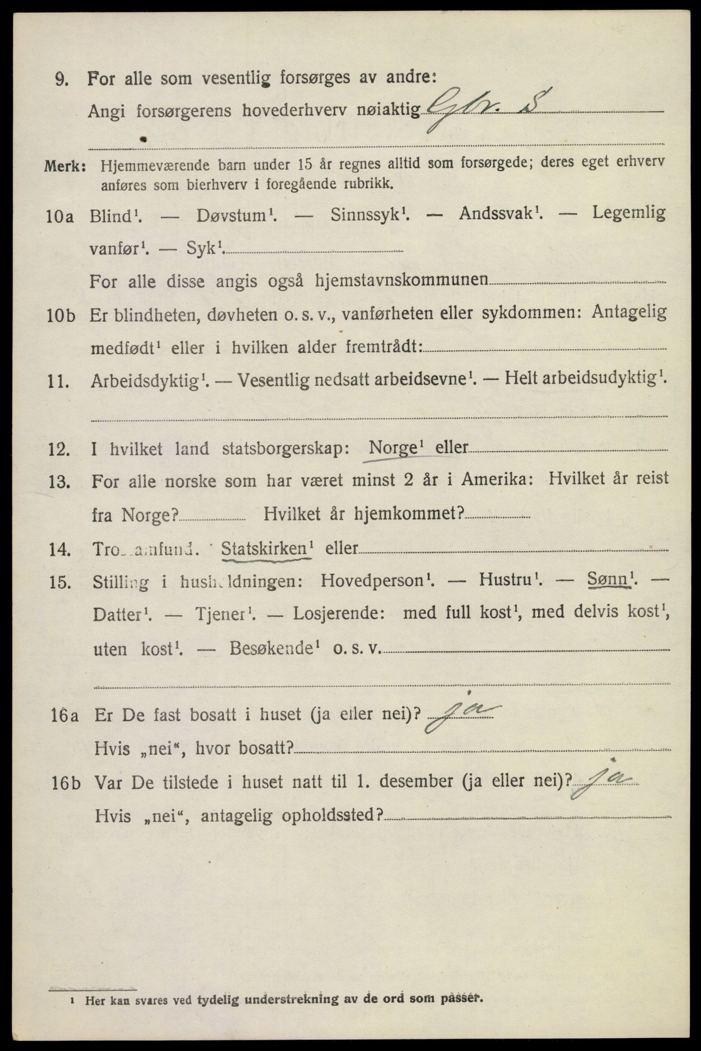 SAKO, 1920 census for Krødsherad, 1920, p. 5242