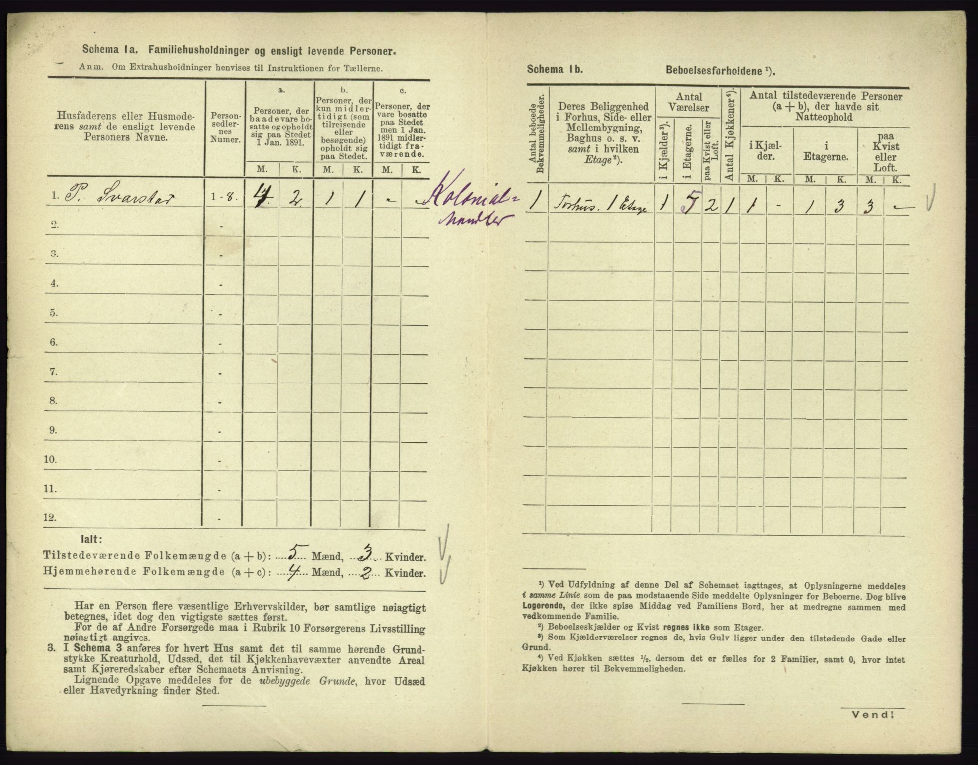 RA, 1891 census for 0701 Svelvik, 1891, p. 375