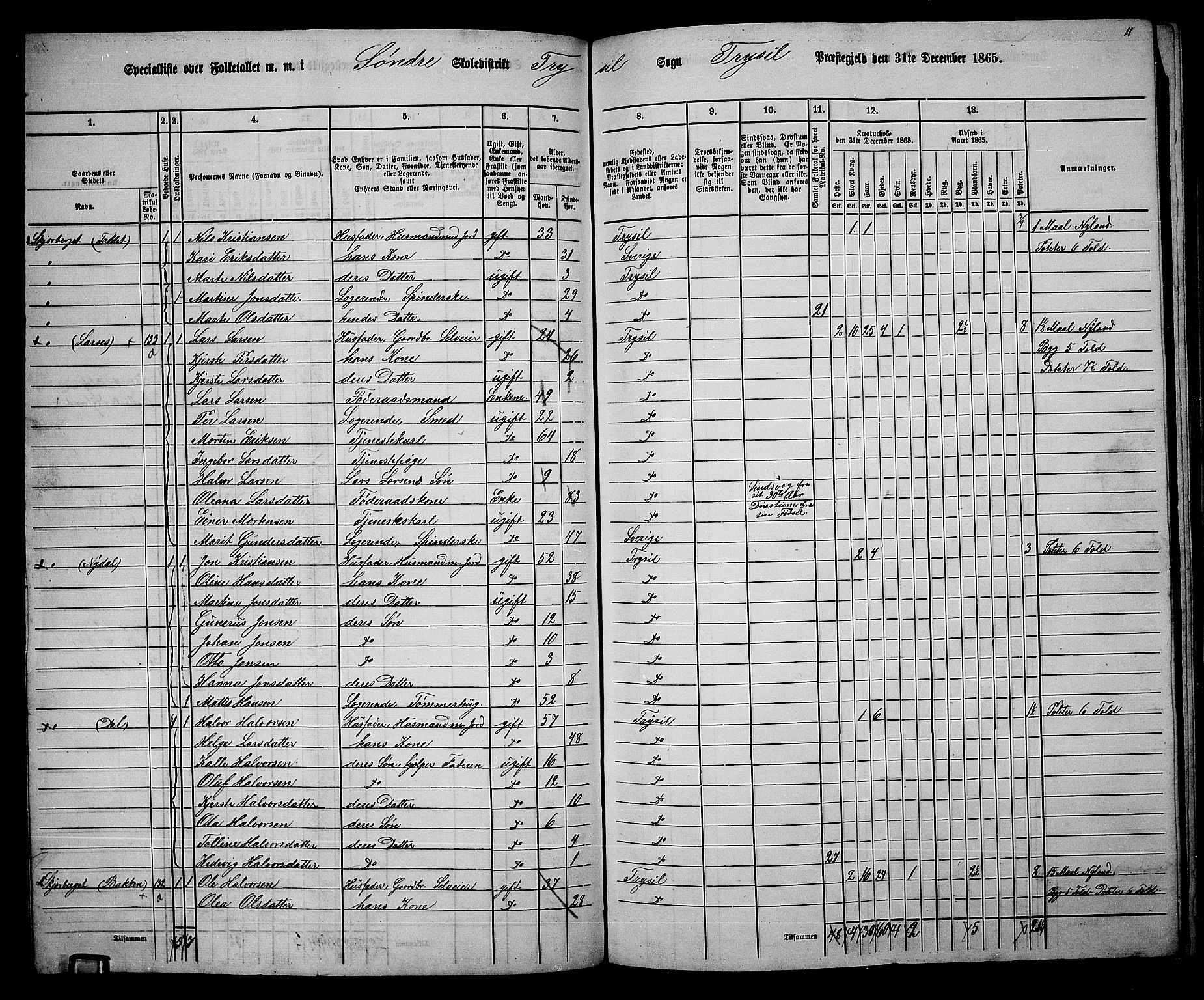 RA, 1865 census for Trysil, 1865, p. 102