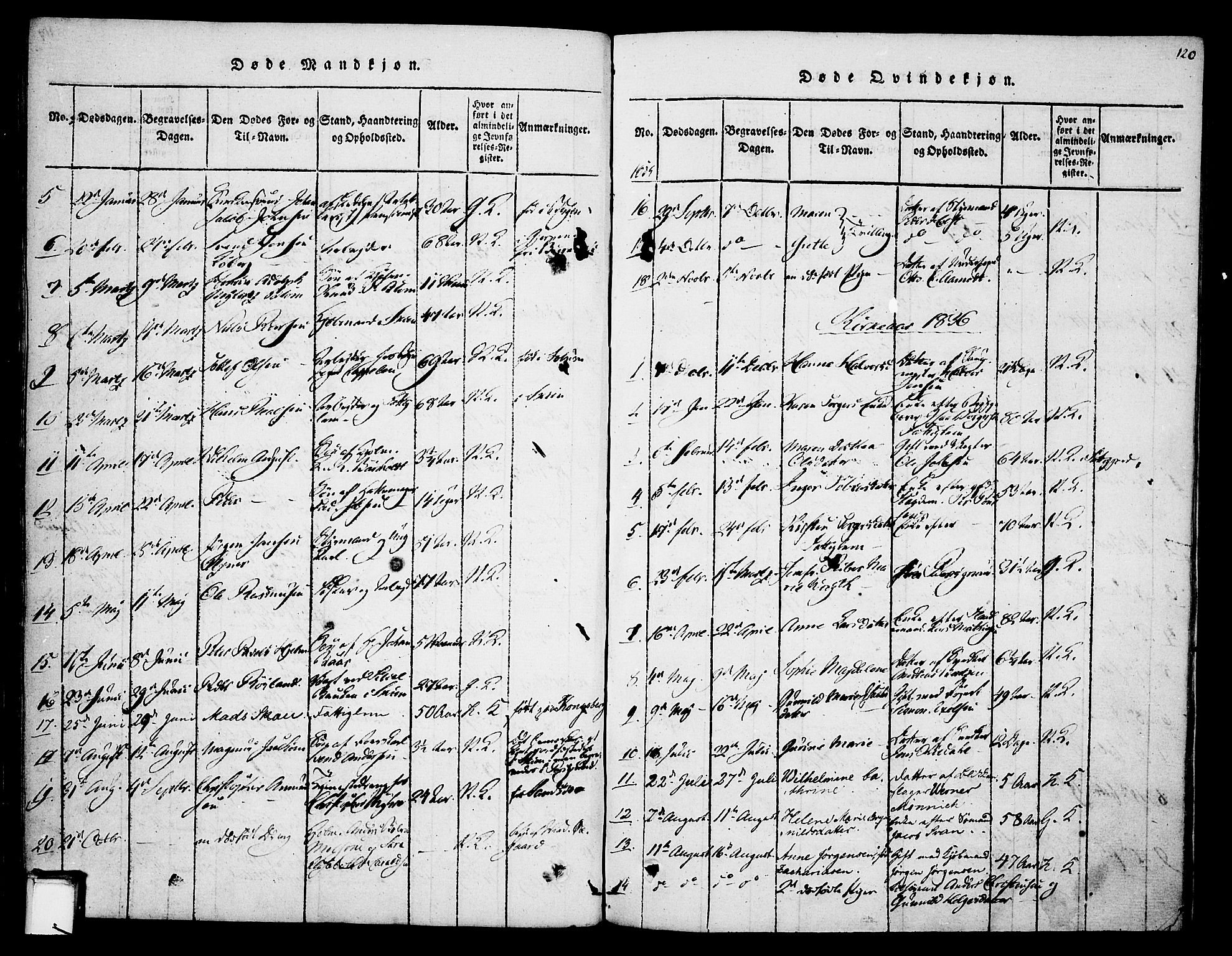 Skien kirkebøker, AV/SAKO-A-302/F/Fa/L0005: Parish register (official) no. 5, 1814-1843, p. 120