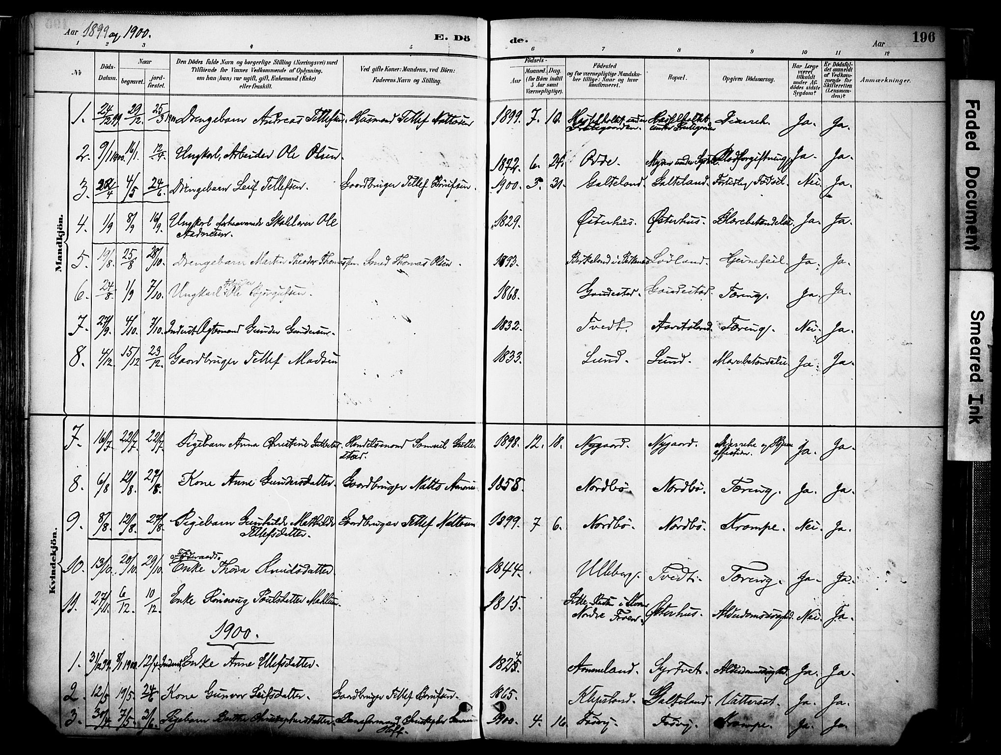 Evje sokneprestkontor, AV/SAK-1111-0008/F/Fa/Faa/L0007: Parish register (official) no. A 7, 1884-1909, p. 196