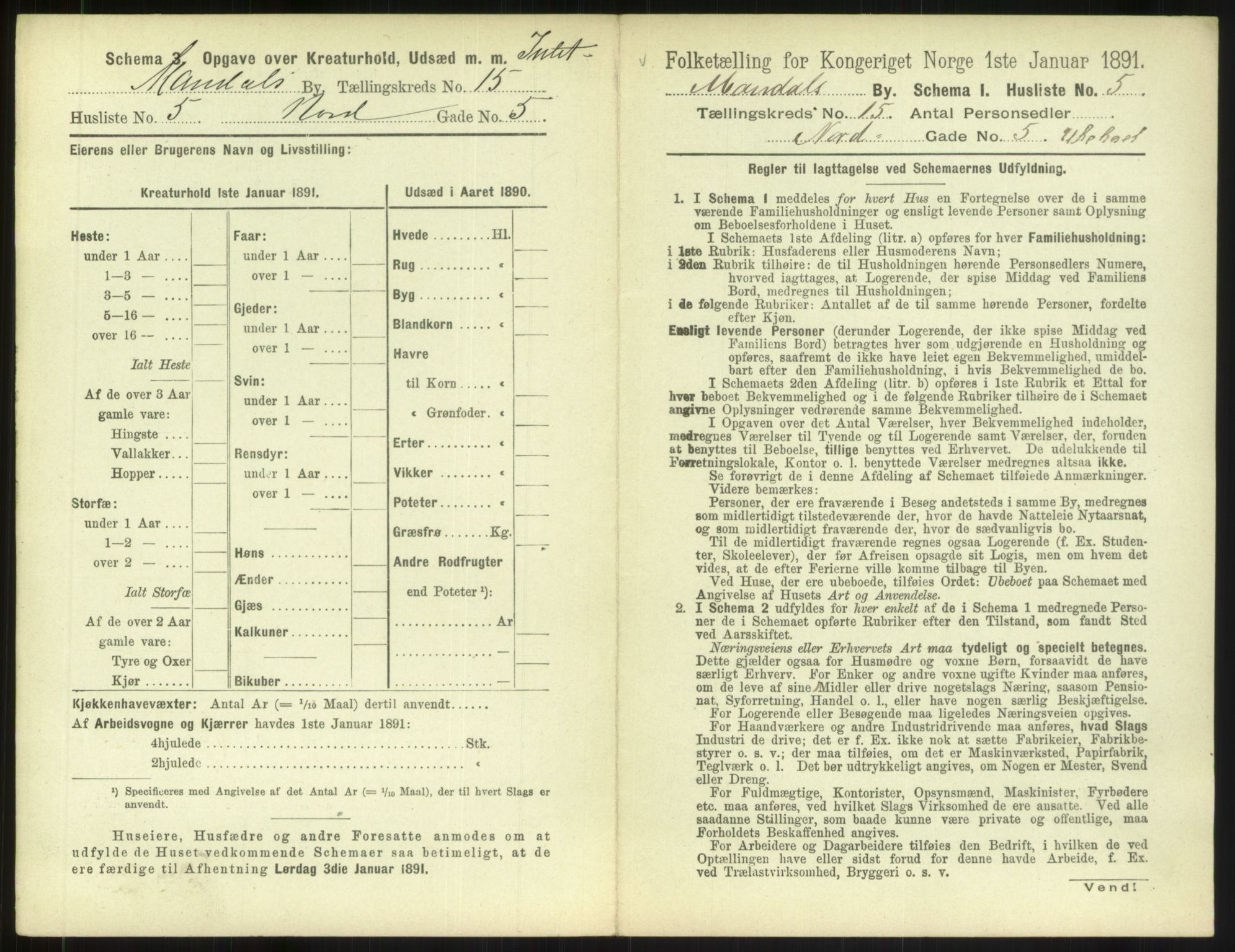 RA, 1891 census for 1002 Mandal, 1891, p. 697