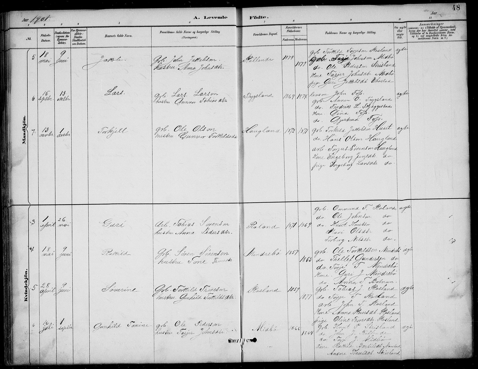 Bjelland sokneprestkontor, AV/SAK-1111-0005/F/Fb/Fba/L0005: Parish register (copy) no. B 5, 1887-1923, p. 48