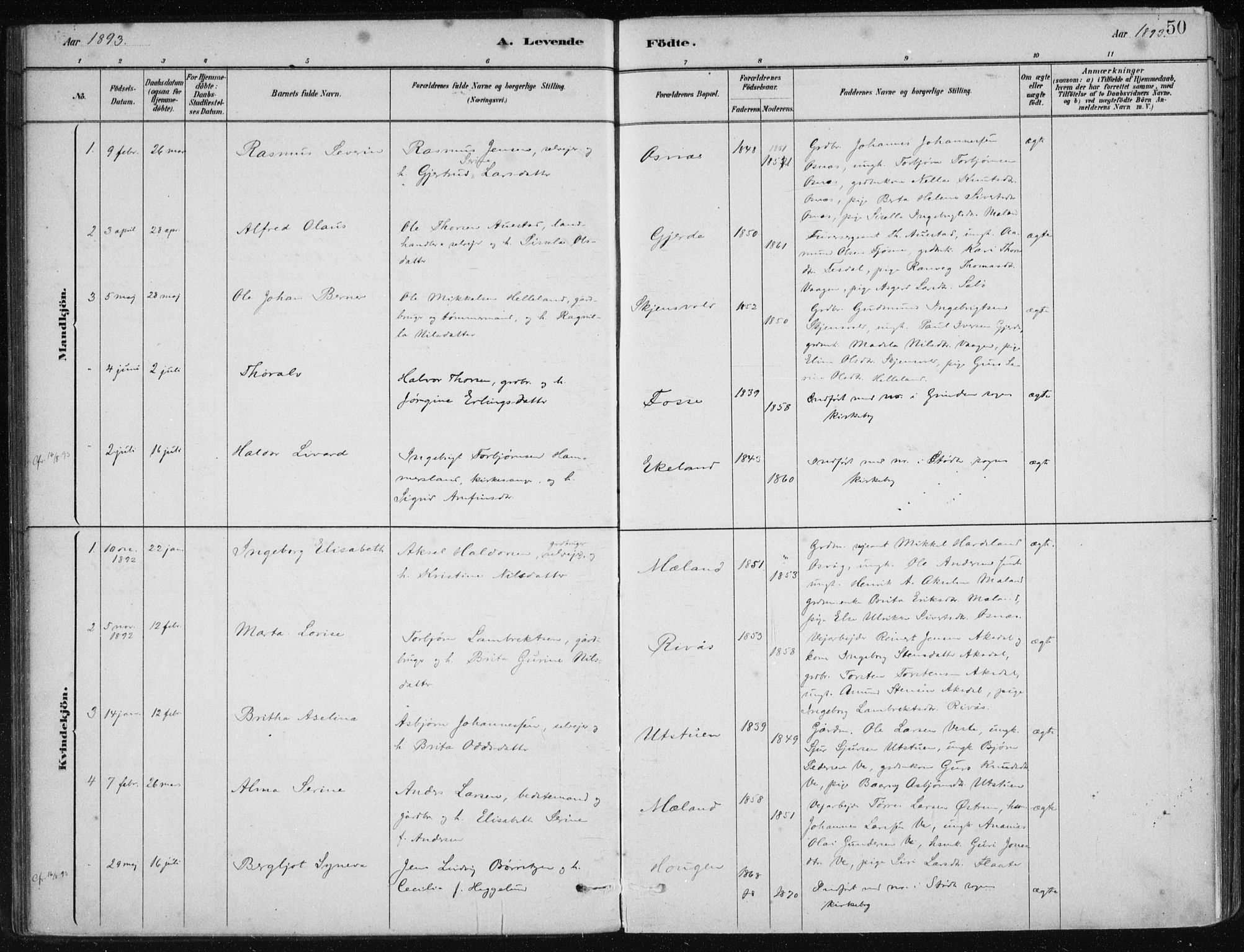 Etne sokneprestembete, AV/SAB-A-75001/H/Haa: Parish register (official) no. C  1, 1879-1919, p. 50