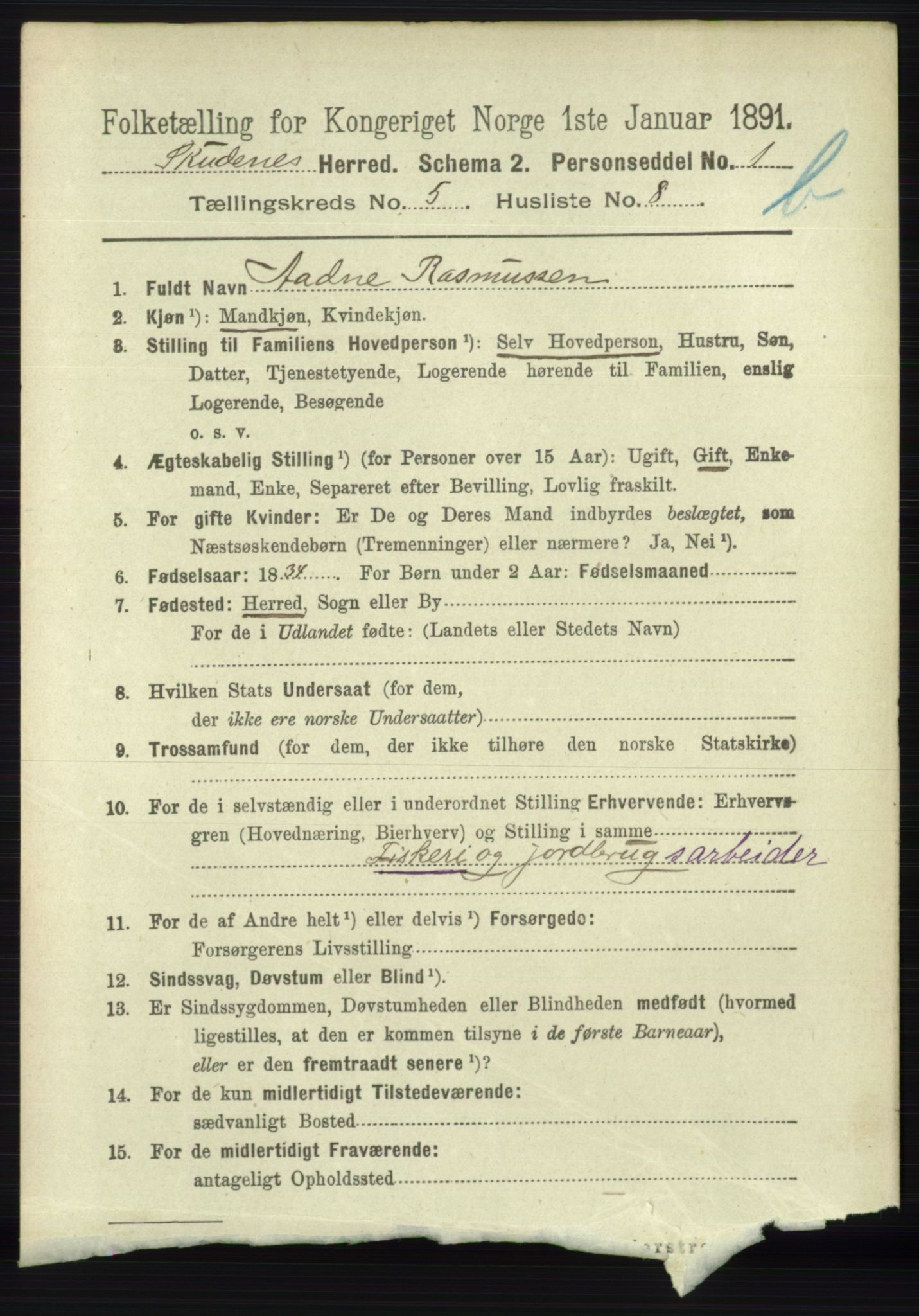 RA, 1891 census for 1150 Skudenes, 1891, p. 5268