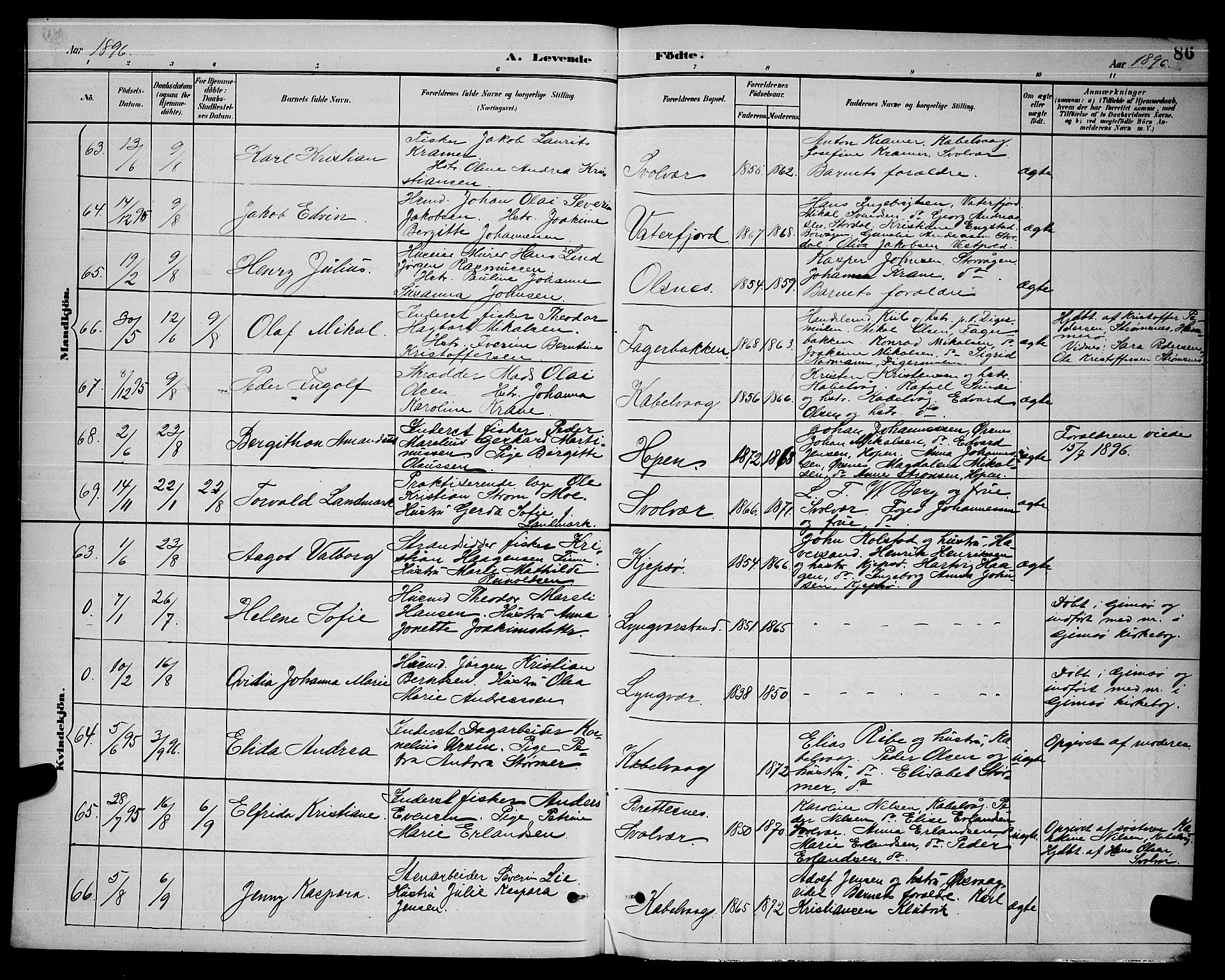 Ministerialprotokoller, klokkerbøker og fødselsregistre - Nordland, AV/SAT-A-1459/874/L1077: Parish register (copy) no. 874C06, 1891-1900, p. 86