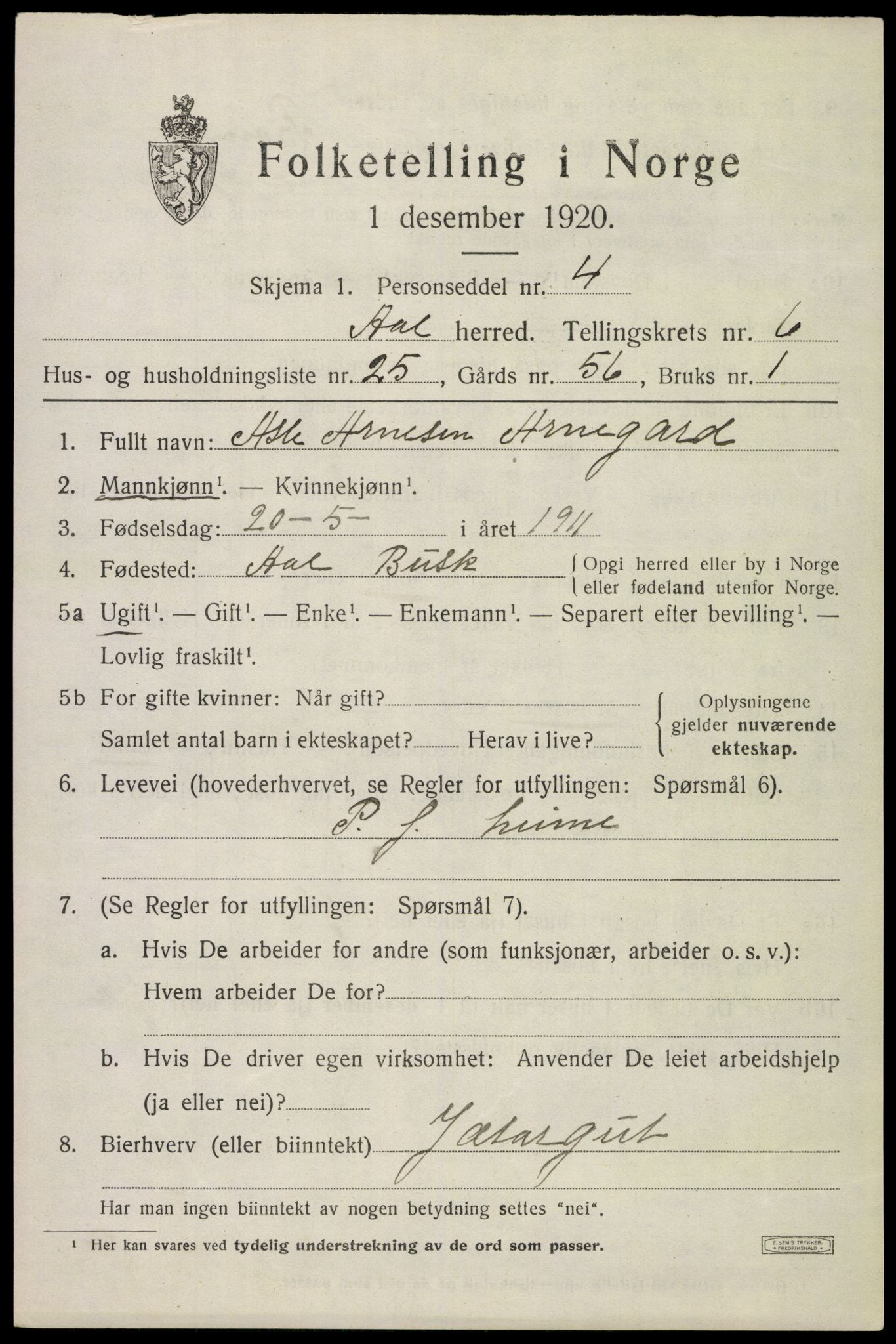 SAKO, 1920 census for Ål, 1920, p. 4616