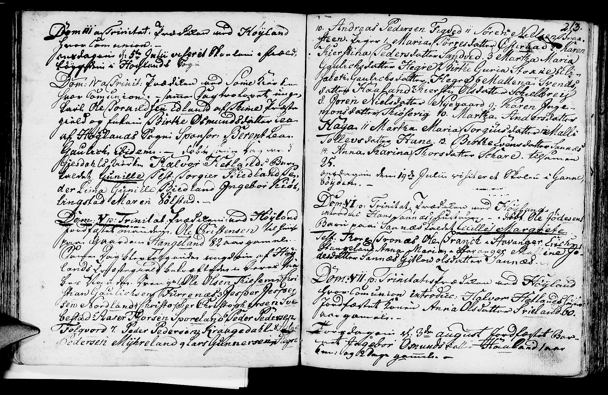Høyland sokneprestkontor, SAST/A-101799/001/30BA/L0004: Parish register (official) no. A 4, 1784-1803, p. 213