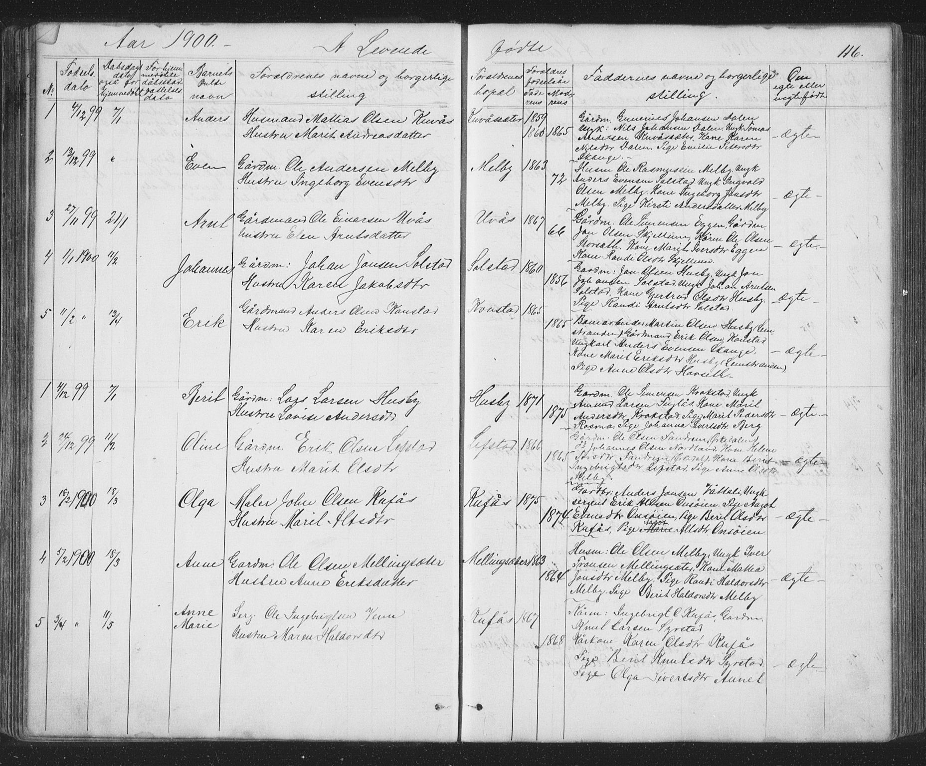 Ministerialprotokoller, klokkerbøker og fødselsregistre - Sør-Trøndelag, SAT/A-1456/667/L0798: Parish register (copy) no. 667C03, 1867-1929, p. 116