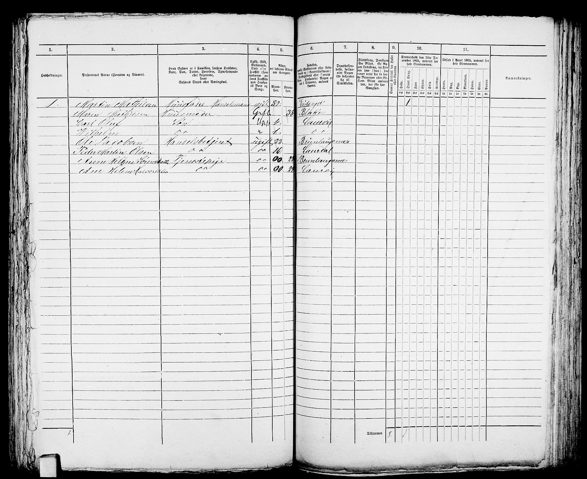 RA, 1865 census for Larvik, 1865, p. 505