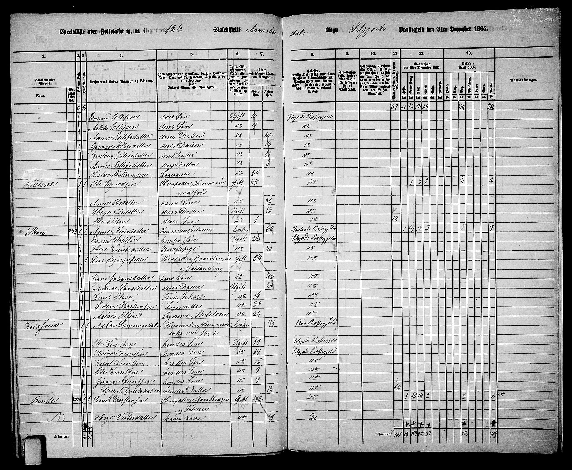 RA, 1865 census for Seljord, 1865, p. 166