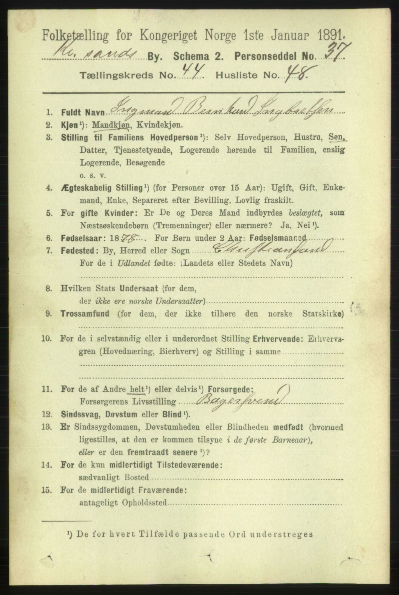 RA, 1891 census for 1001 Kristiansand, 1891, p. 13891