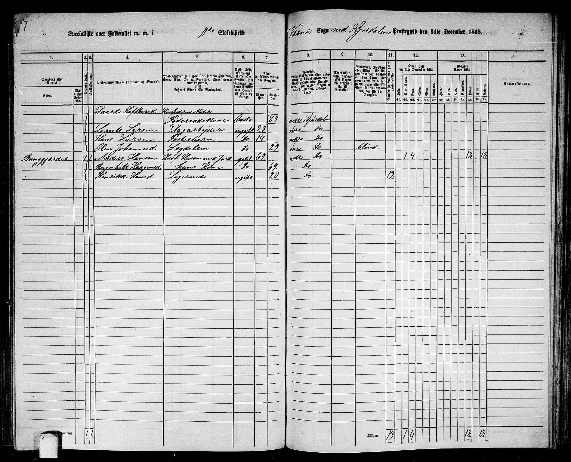 RA, 1865 census for Nedre Stjørdal, 1865, p. 226