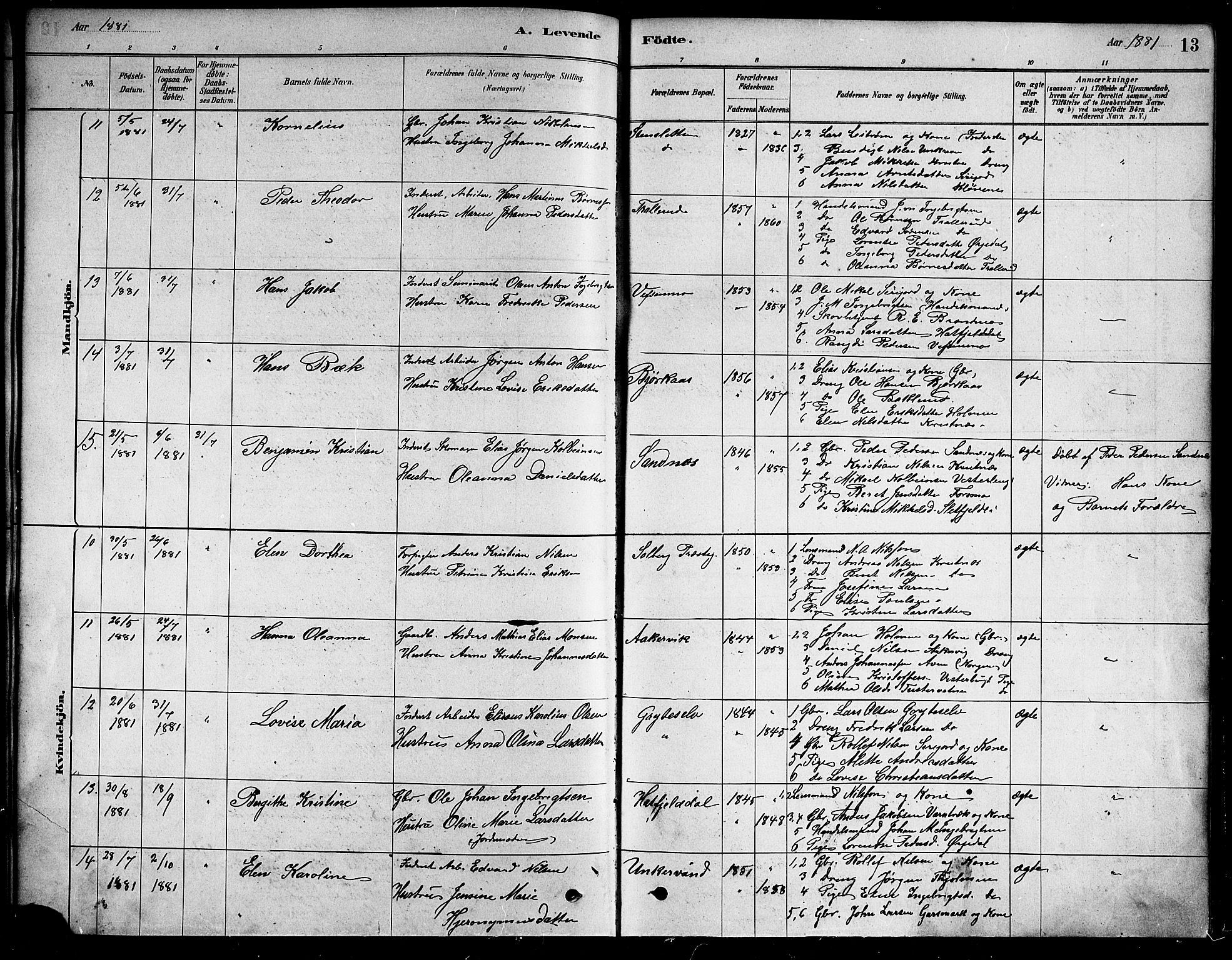 Ministerialprotokoller, klokkerbøker og fødselsregistre - Nordland, AV/SAT-A-1459/823/L0330: Parish register (copy) no. 823C02, 1879-1916, p. 13