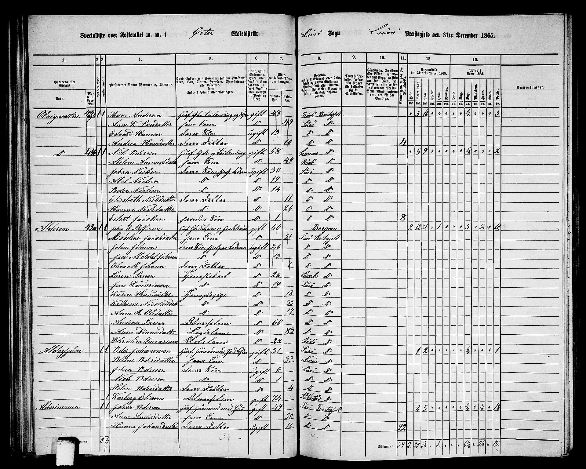 RA, 1865 census for Lurøy, 1865, p. 55