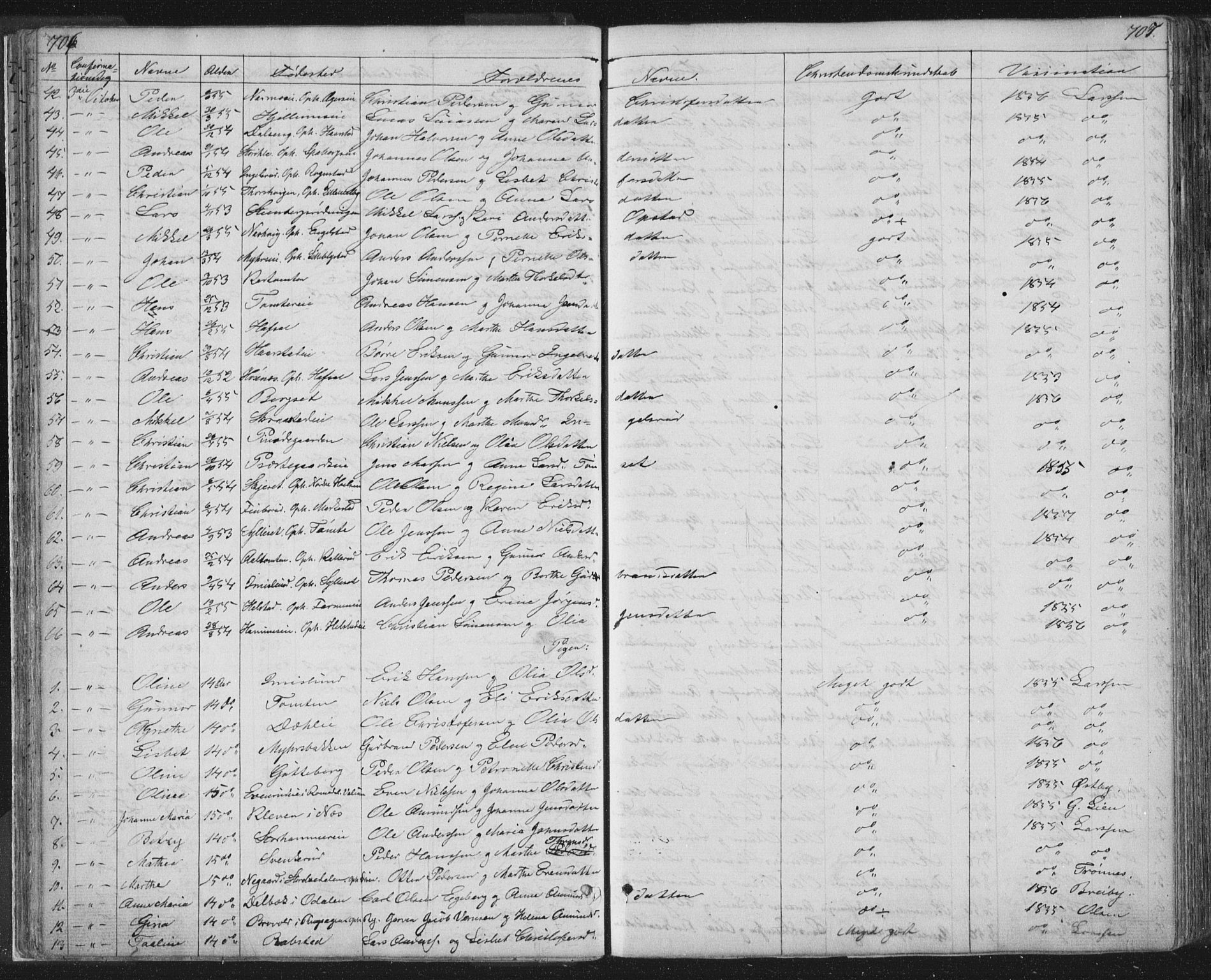 Vang prestekontor, Hedmark, AV/SAH-PREST-008/H/Ha/Hab/L0010B: Parish register (copy) no. 10b, 1854-1896, p. 706-707