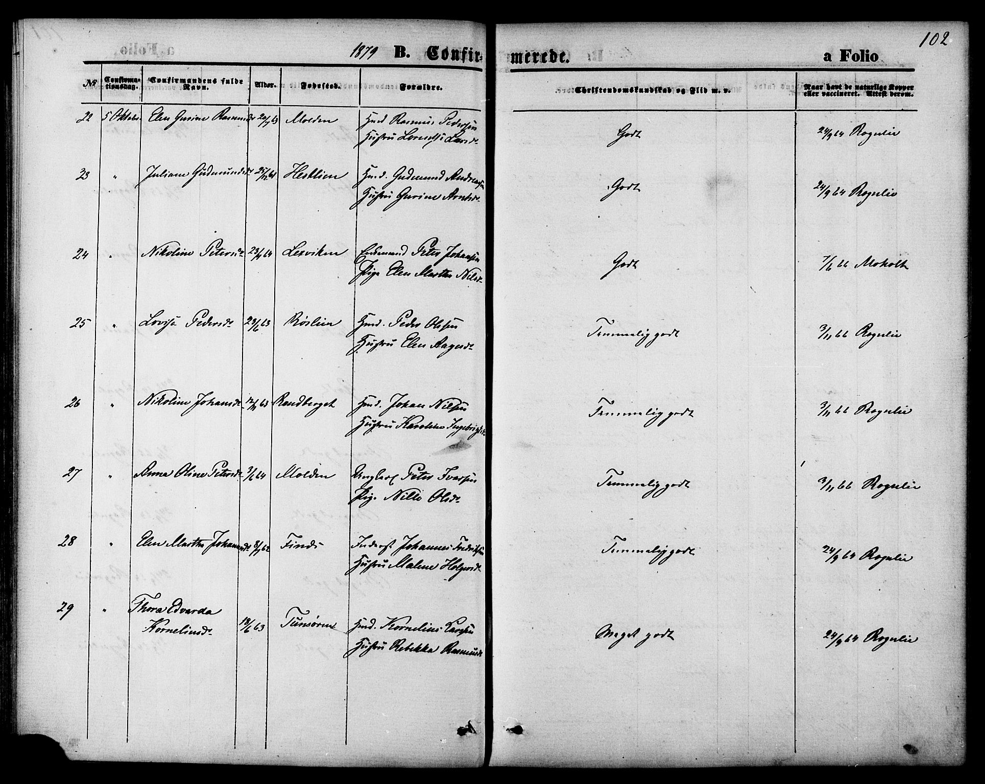 Ministerialprotokoller, klokkerbøker og fødselsregistre - Nord-Trøndelag, SAT/A-1458/744/L0419: Parish register (official) no. 744A03, 1867-1881, p. 102