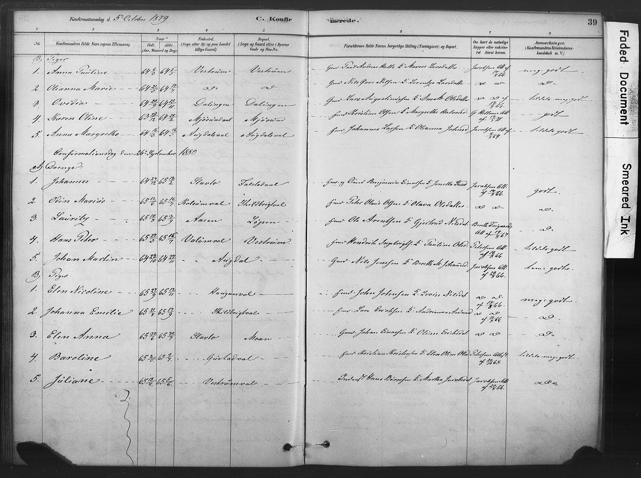 Ministerialprotokoller, klokkerbøker og fødselsregistre - Nord-Trøndelag, AV/SAT-A-1458/719/L0178: Parish register (official) no. 719A01, 1878-1900, p. 39