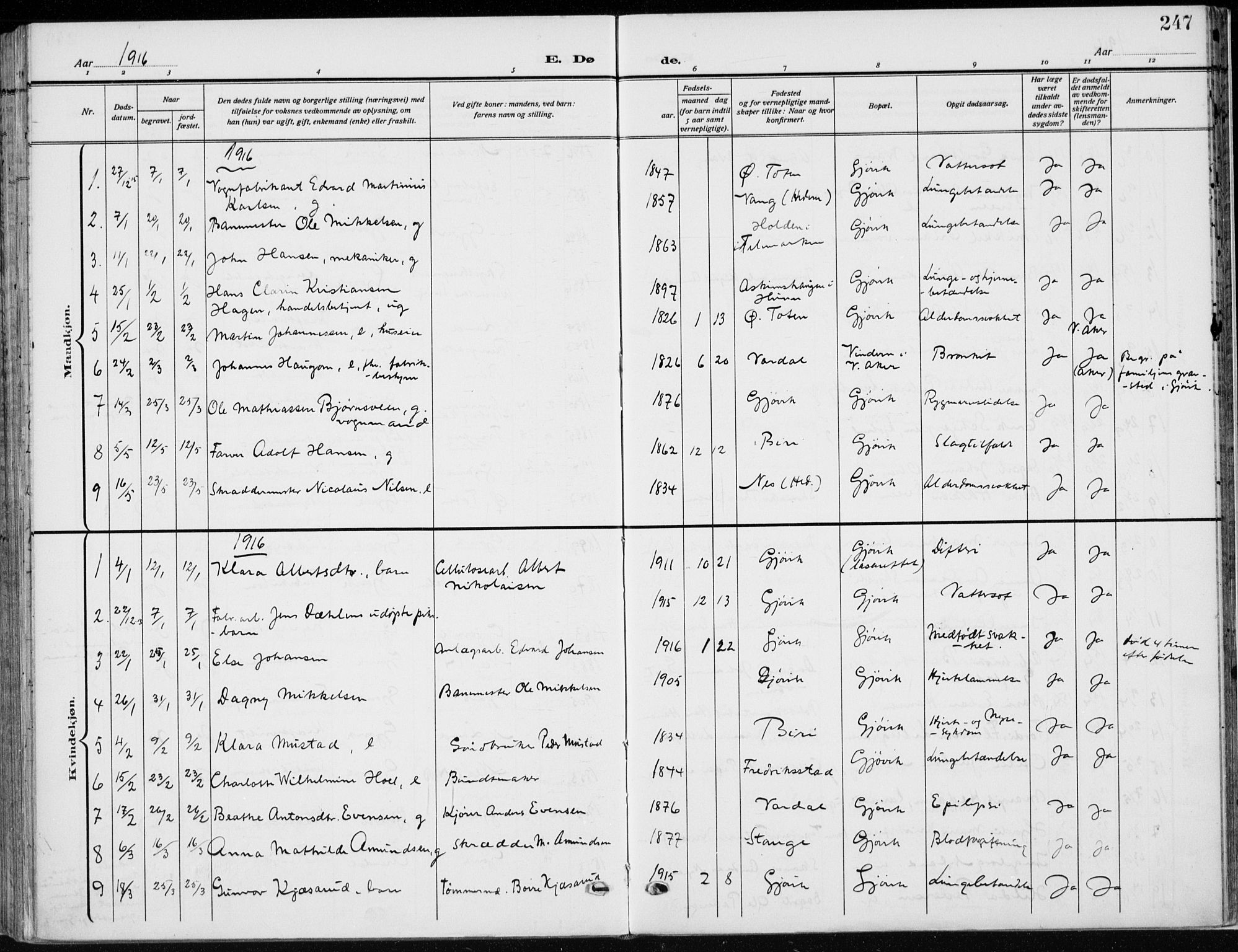 Vardal prestekontor, SAH/PREST-100/H/Ha/Haa/L0014: Parish register (official) no. 14, 1912-1922, p. 247