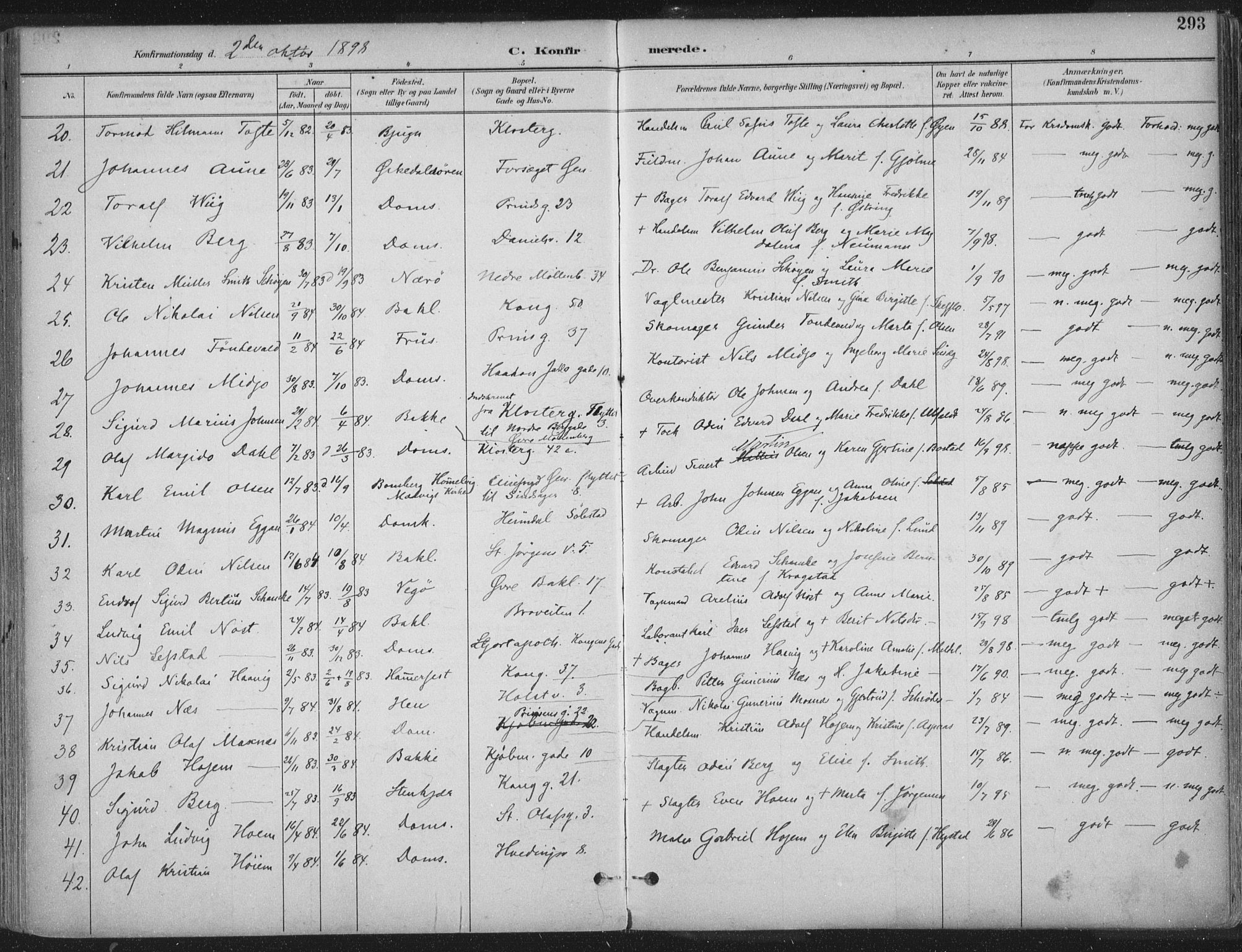 Ministerialprotokoller, klokkerbøker og fødselsregistre - Sør-Trøndelag, AV/SAT-A-1456/601/L0062: Parish register (official) no. 601A30, 1891-1911, p. 293