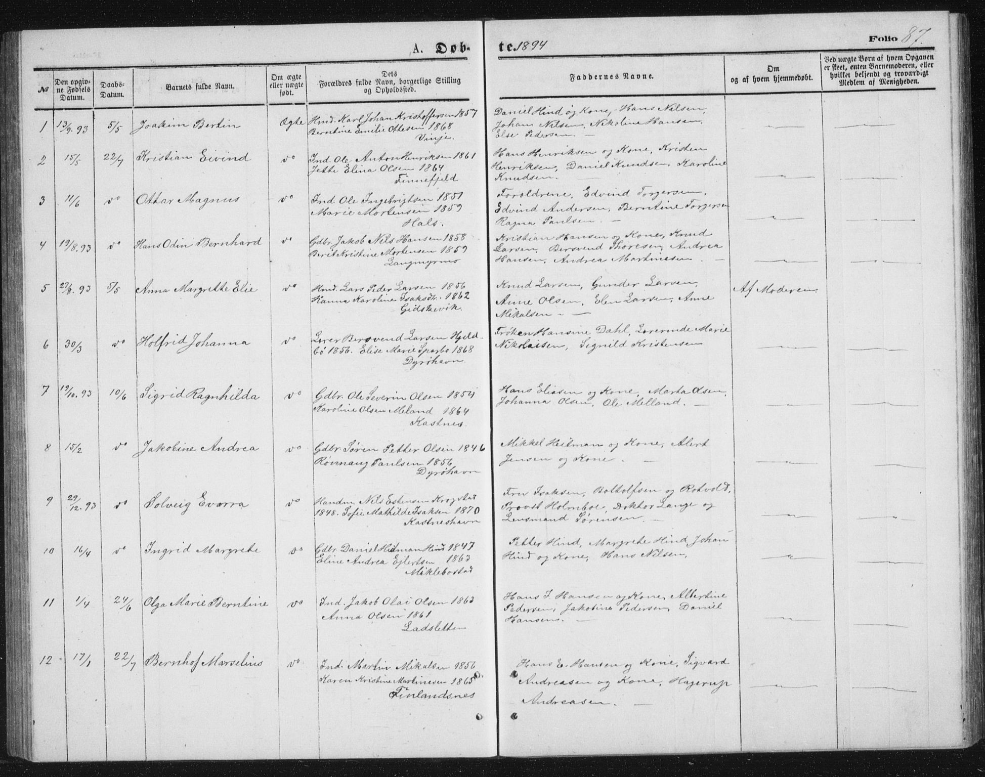 Tranøy sokneprestkontor, SATØ/S-1313/I/Ia/Iab/L0013klokker: Parish register (copy) no. 13, 1874-1896, p. 87