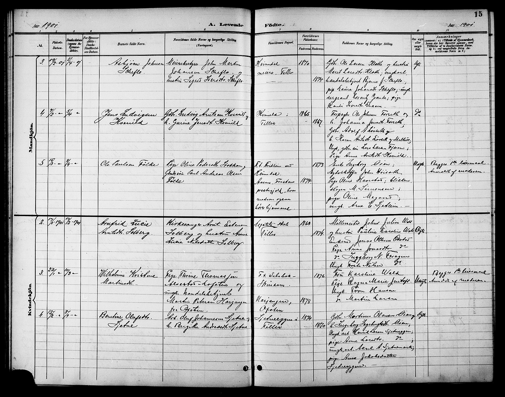 Ministerialprotokoller, klokkerbøker og fødselsregistre - Sør-Trøndelag, SAT/A-1456/621/L0460: Parish register (copy) no. 621C03, 1896-1914, p. 15