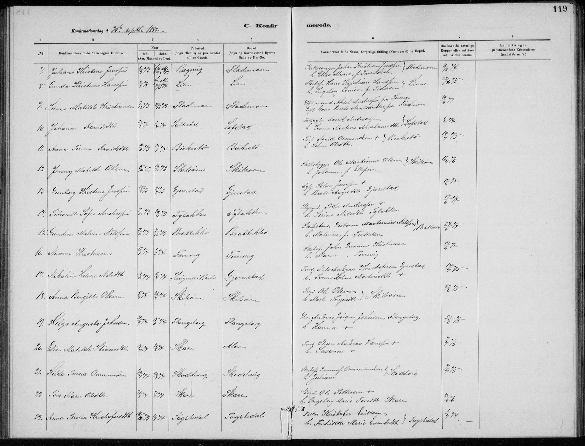 Tromøy sokneprestkontor, SAK/1111-0041/F/Fb/L0005: Parish register (copy) no. B 5, 1877-1891, p. 119