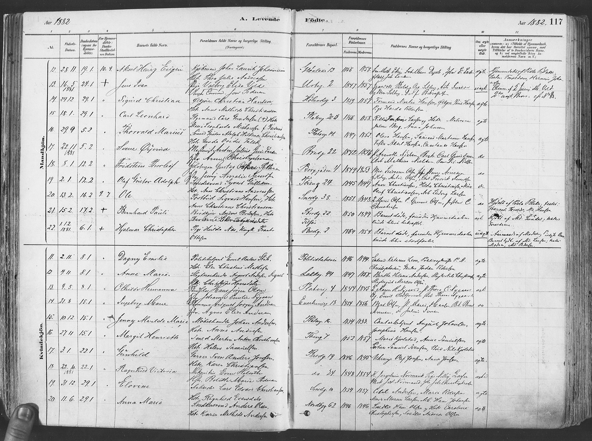 Grønland prestekontor Kirkebøker, SAO/A-10848/F/Fa/L0007: Parish register (official) no. 7, 1878-1888, p. 117