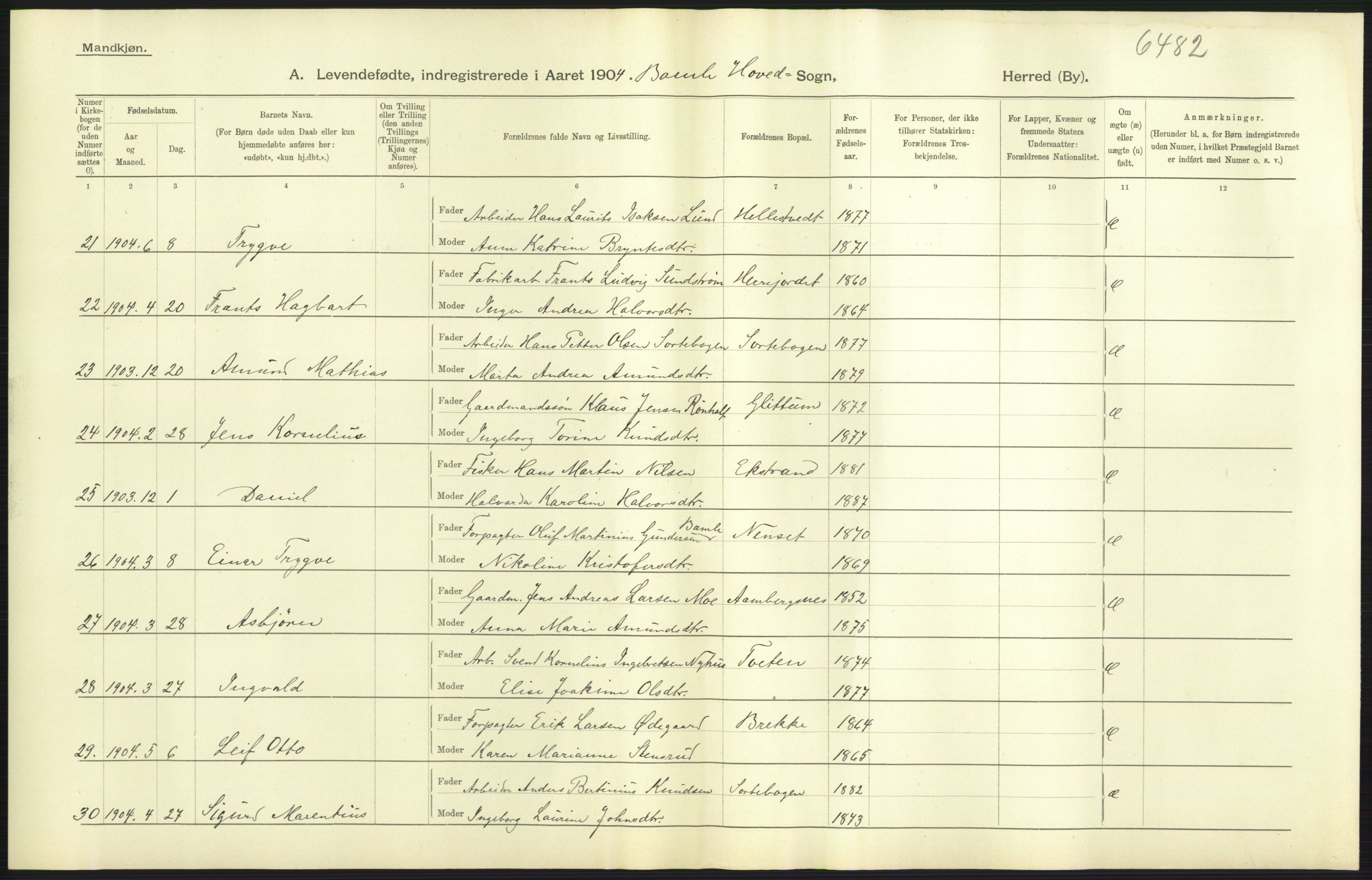 Statistisk sentralbyrå, Sosiodemografiske emner, Befolkning, AV/RA-S-2228/D/Df/Dfa/Dfab/L0009: Bratsberg amt: Fødte, gifte, døde, 1904, p. 47